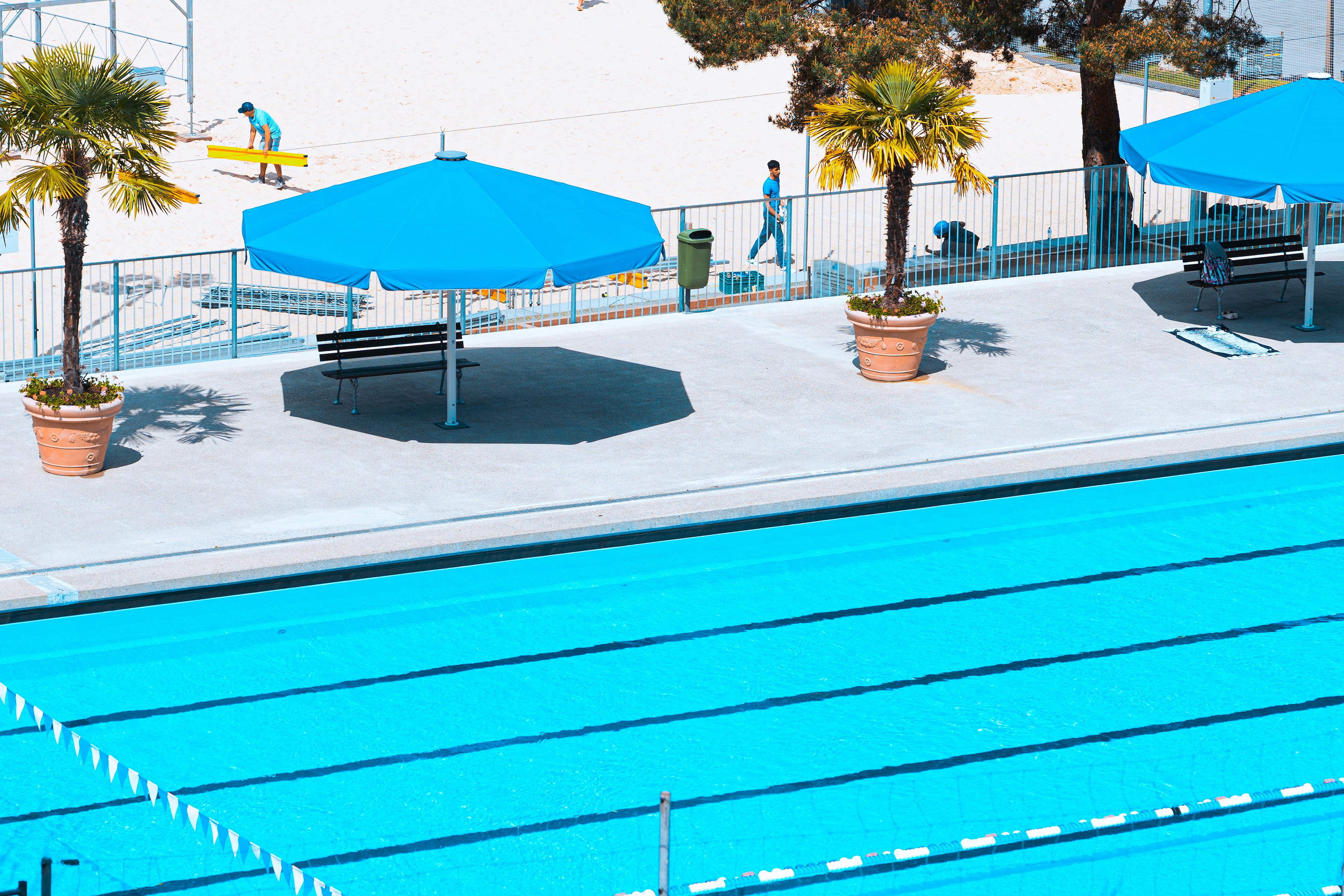 Câu Lạc Bộ Hồ Bơi Nam Long ( Nam Long Pool Club )