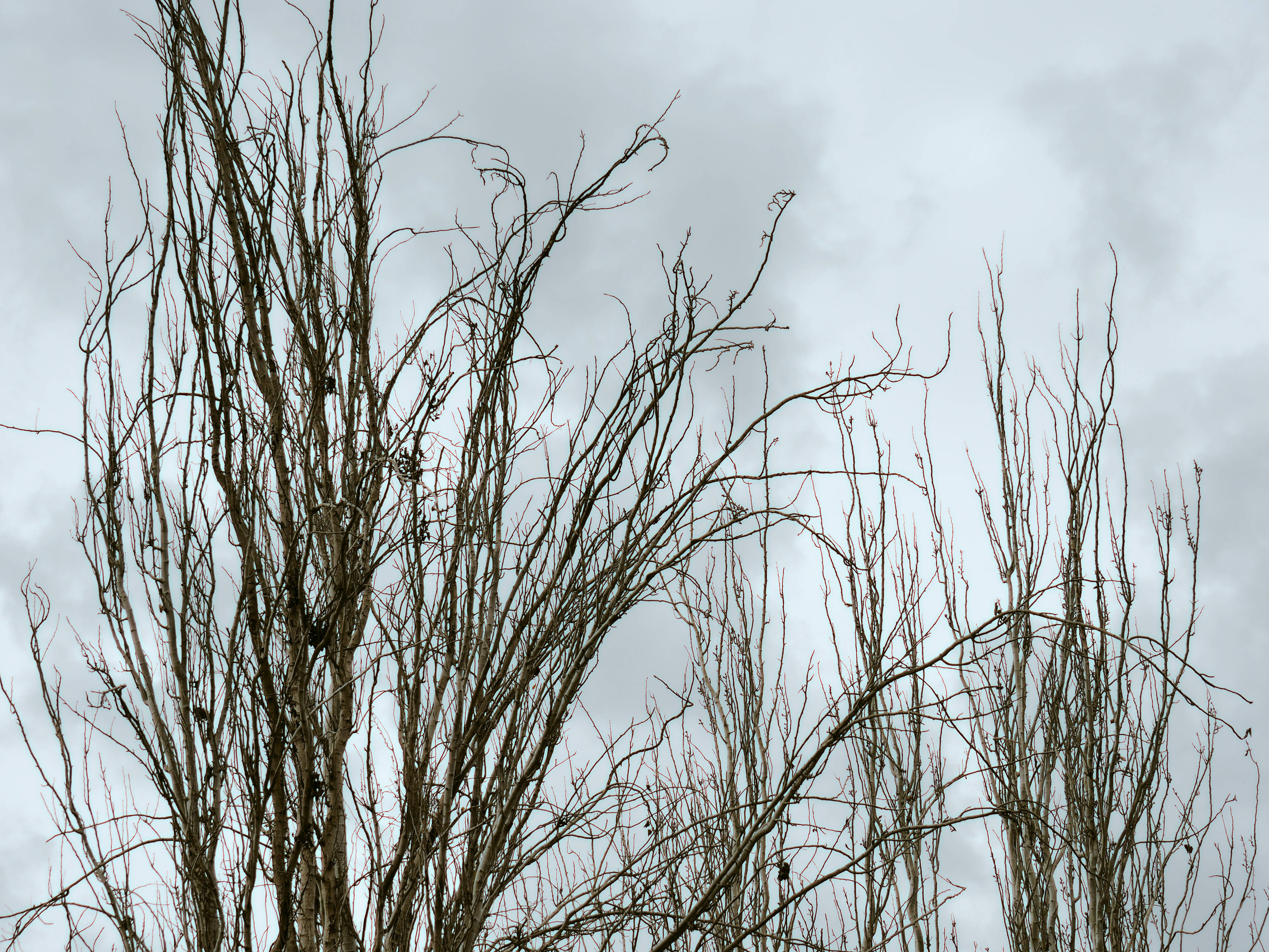 Photo by archerallstars