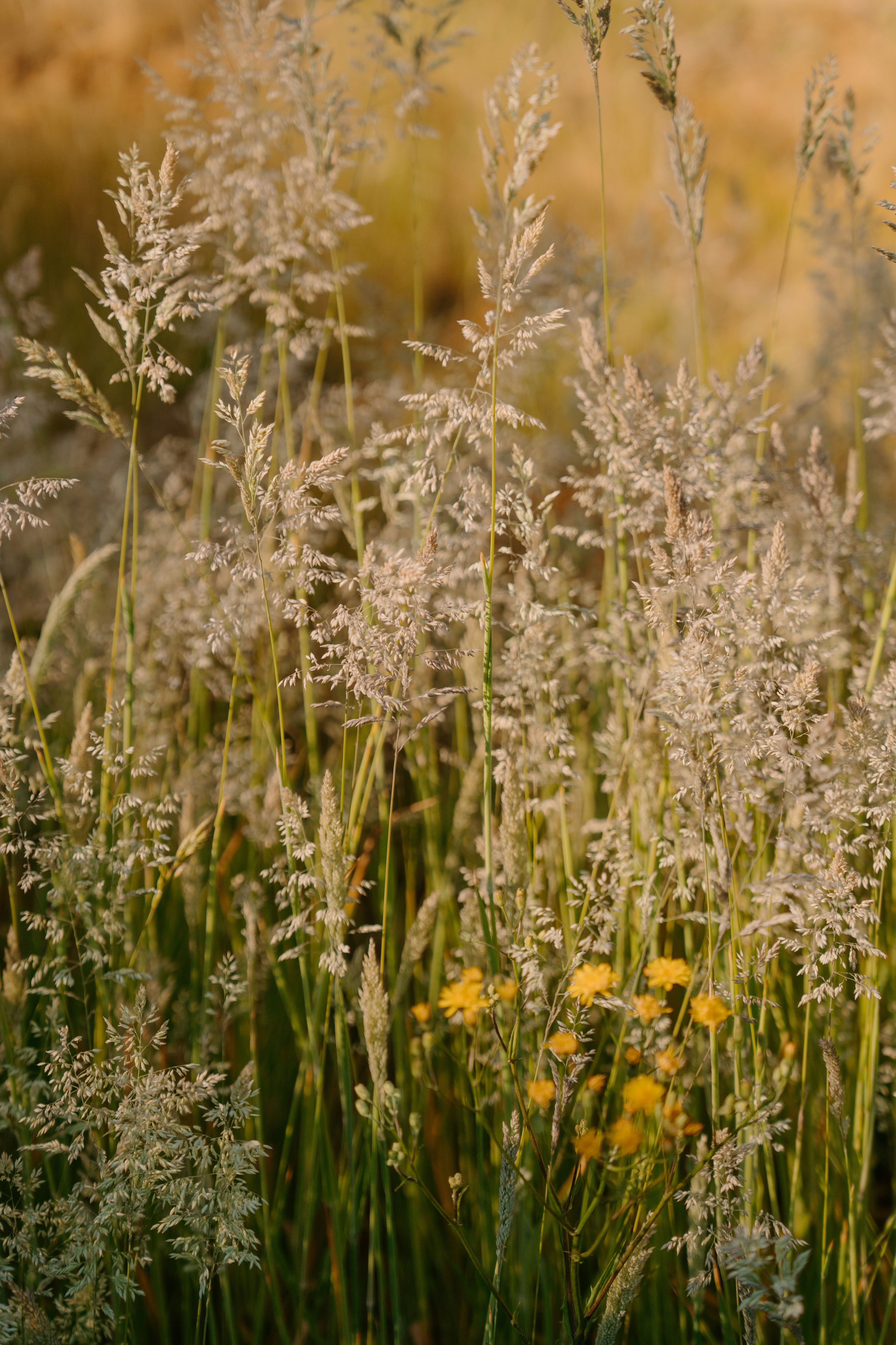 Photo by emilyirenephotoco