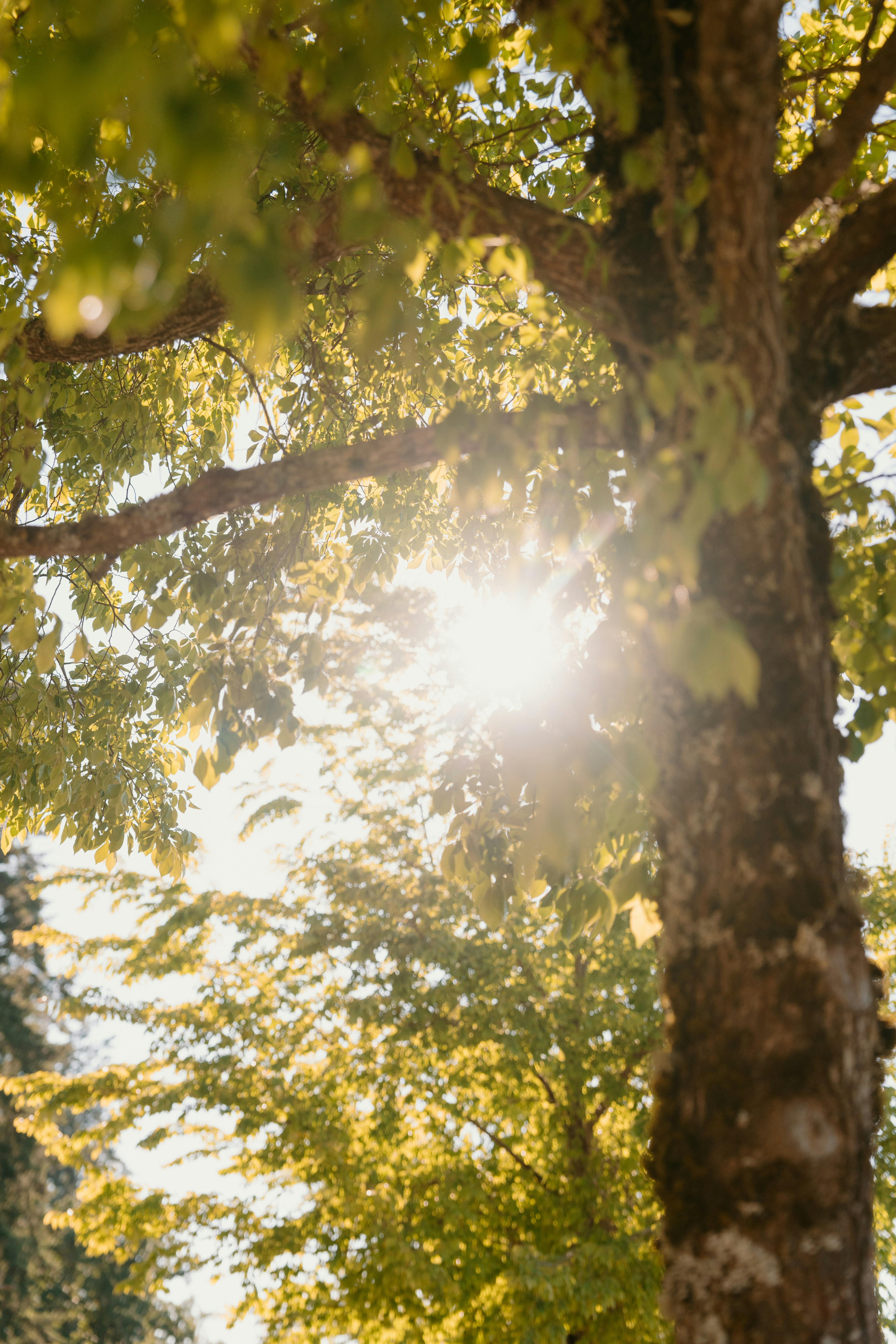 Photo by emilyirenephotoco