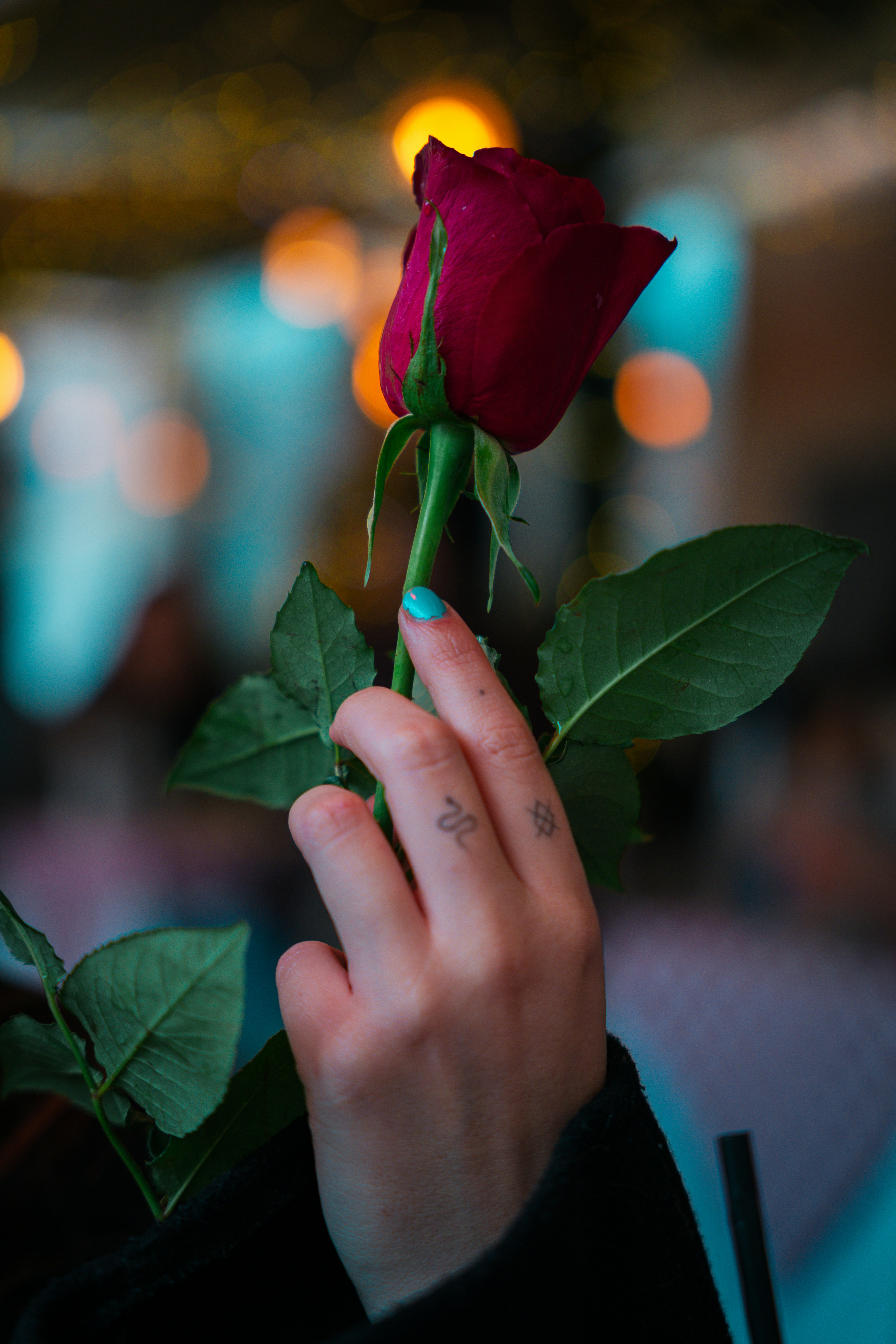 Una mano sostiene suavemente una hermosa rosa roja.