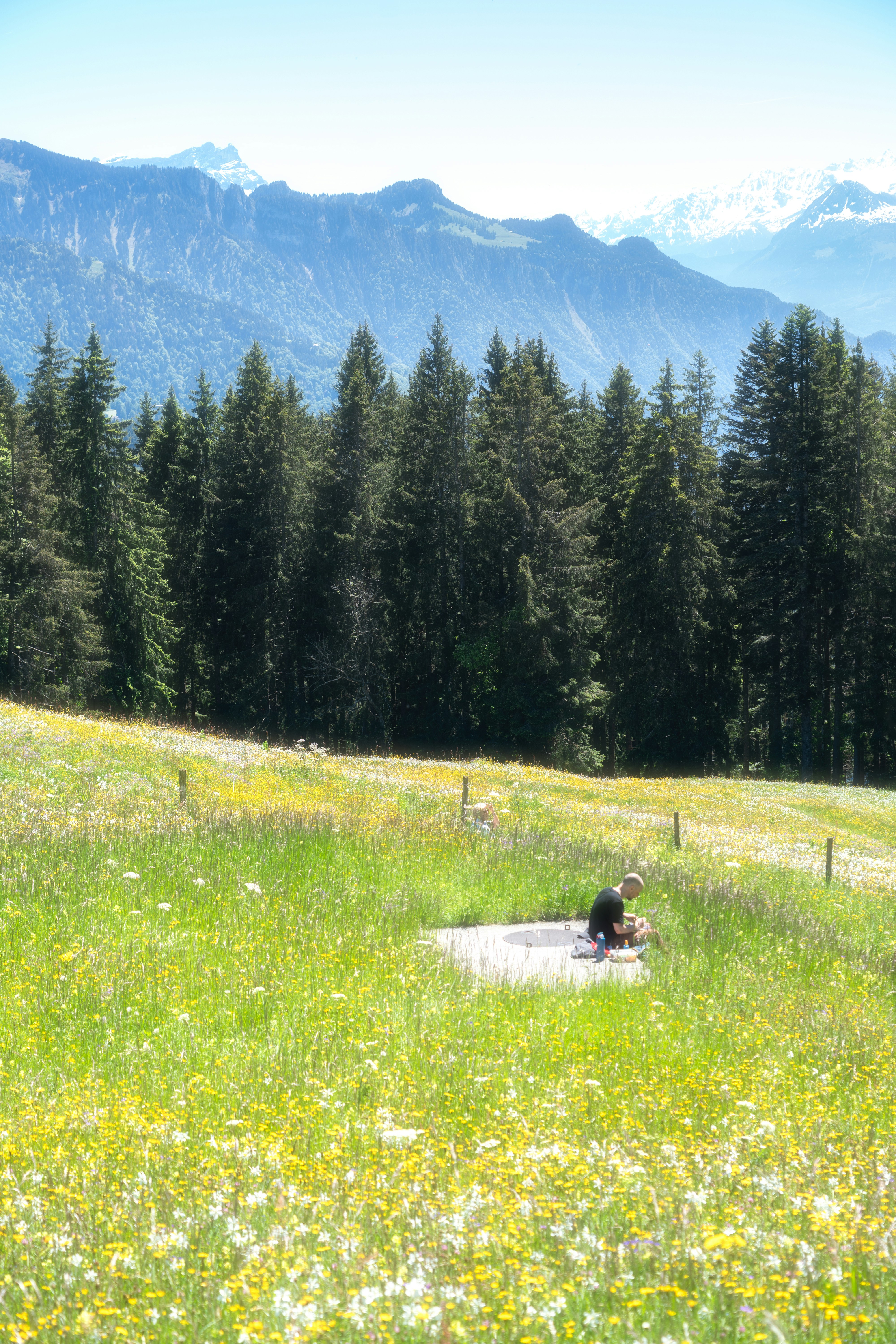 Person sits in a field with a scenic mountain view