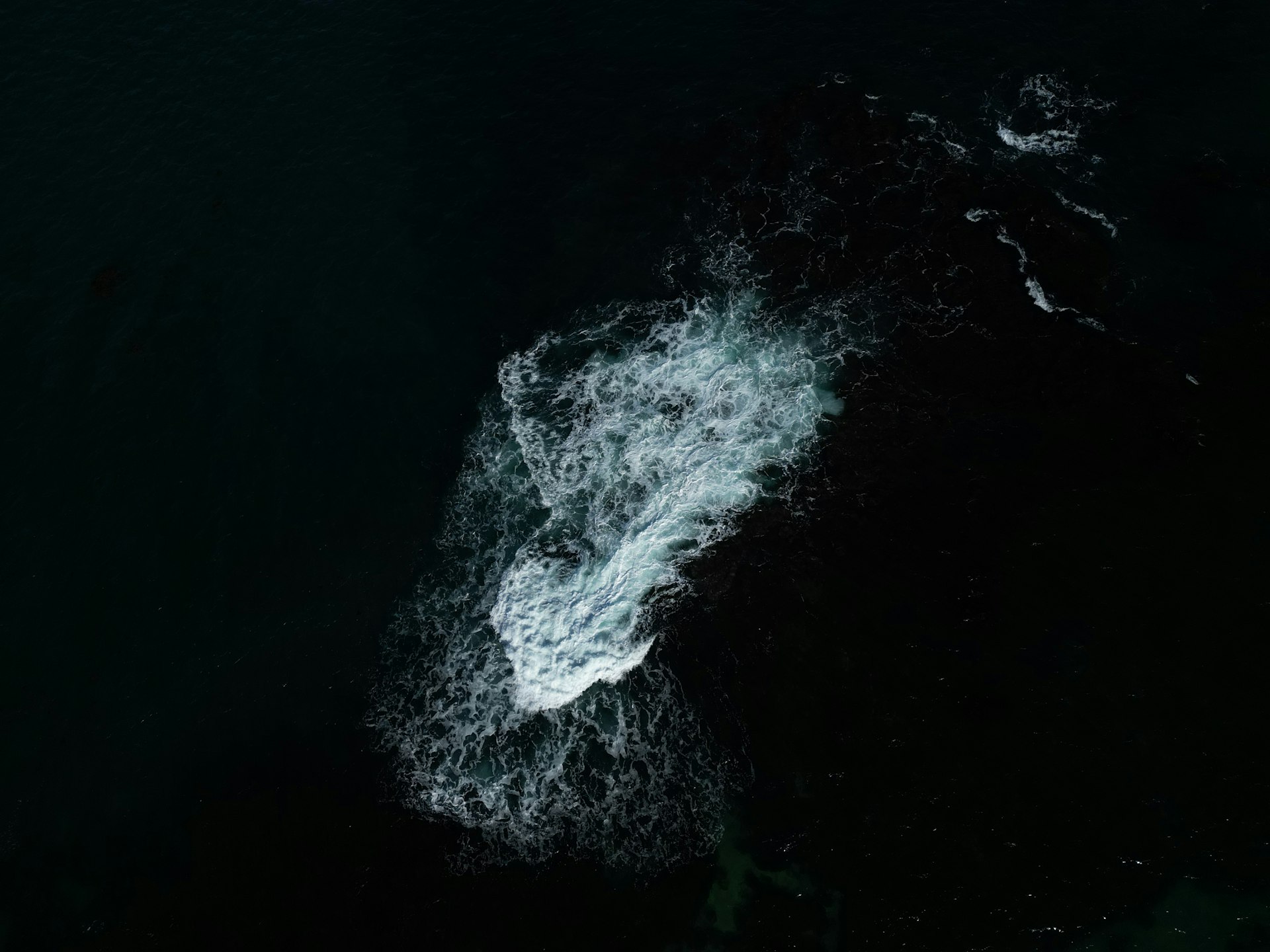 Observation respectueuse d une baleine nageant près des récifs au large des côtes