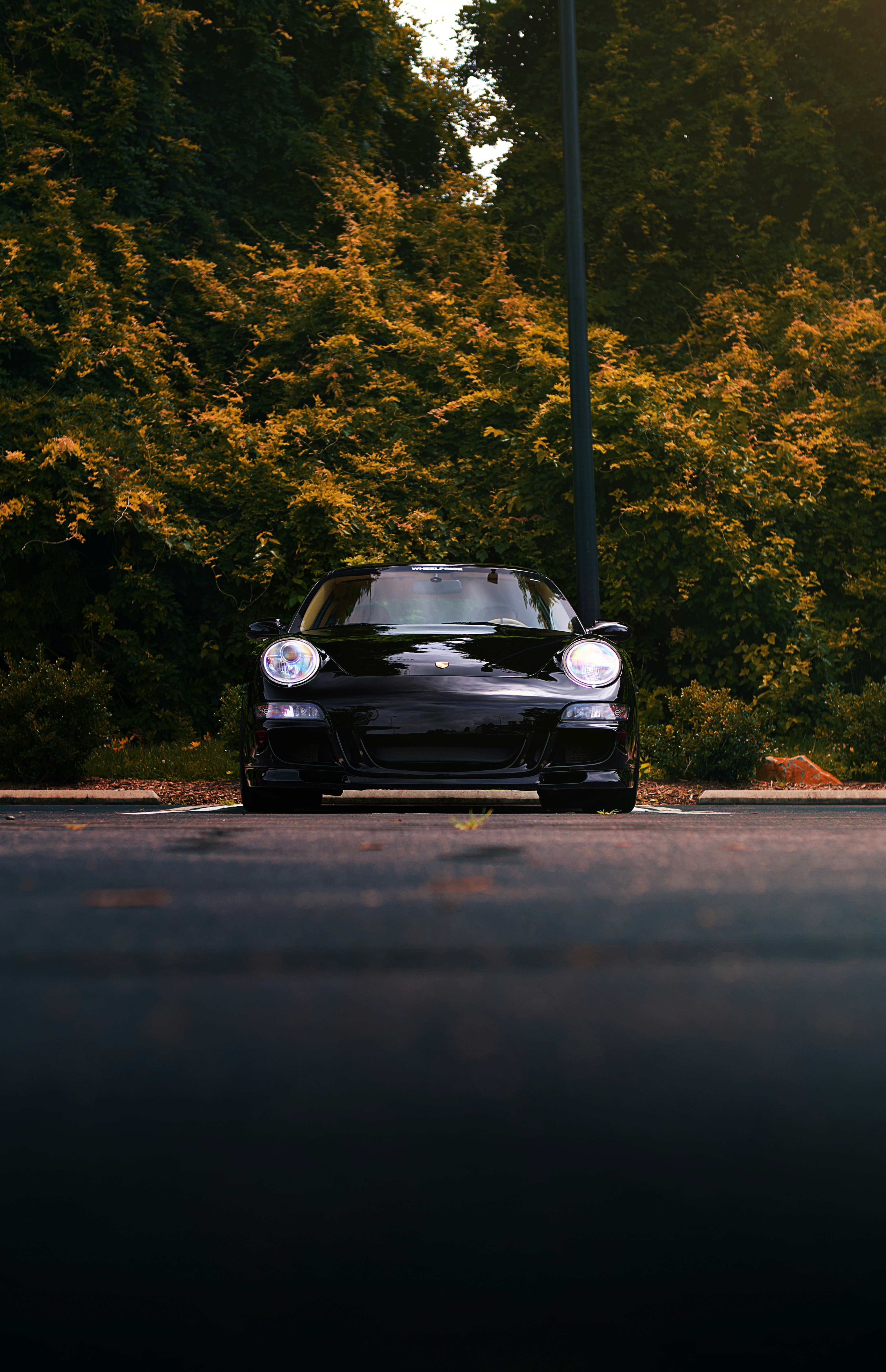 Photo by leiadakrozjhen