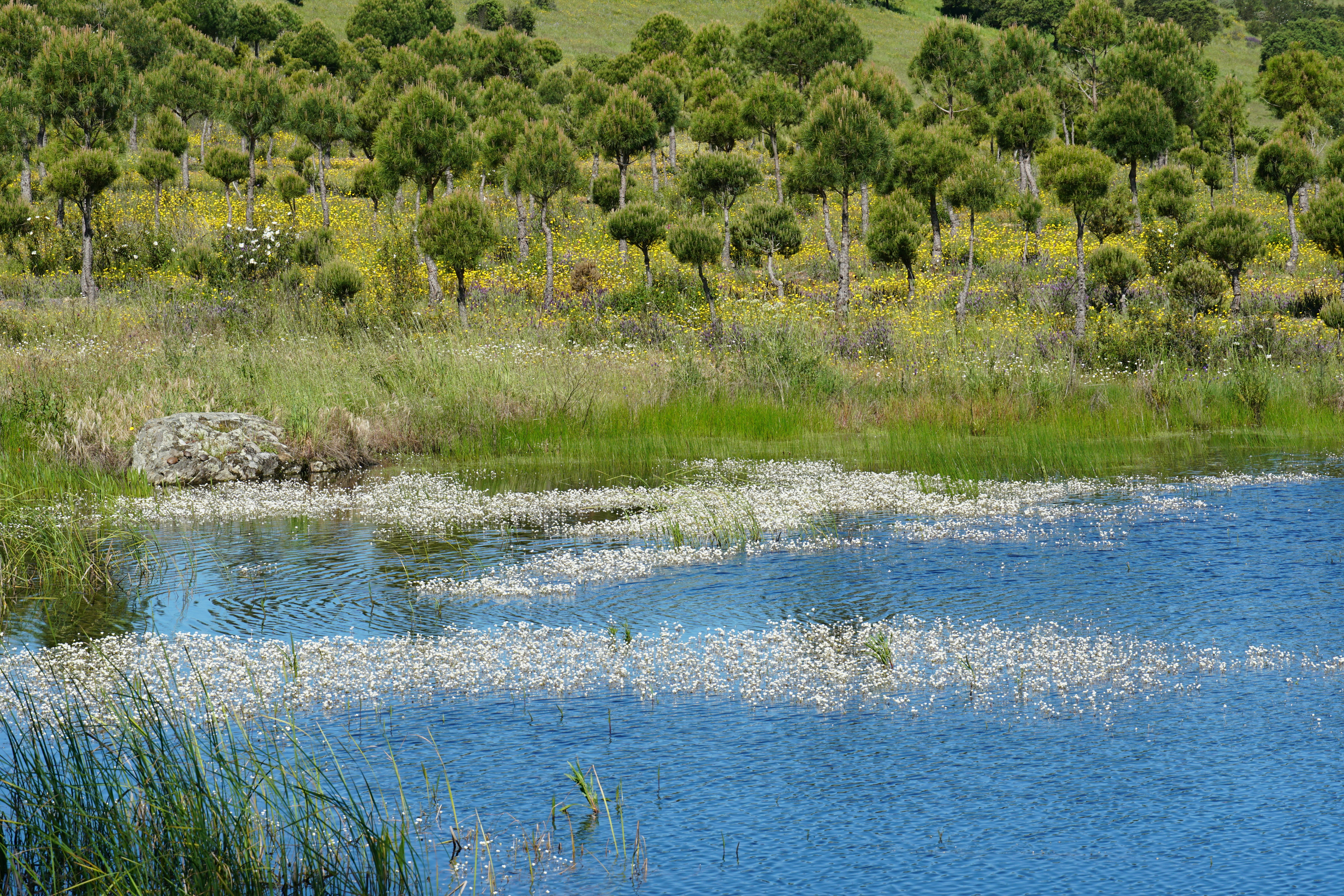 Photo by qld_traveller