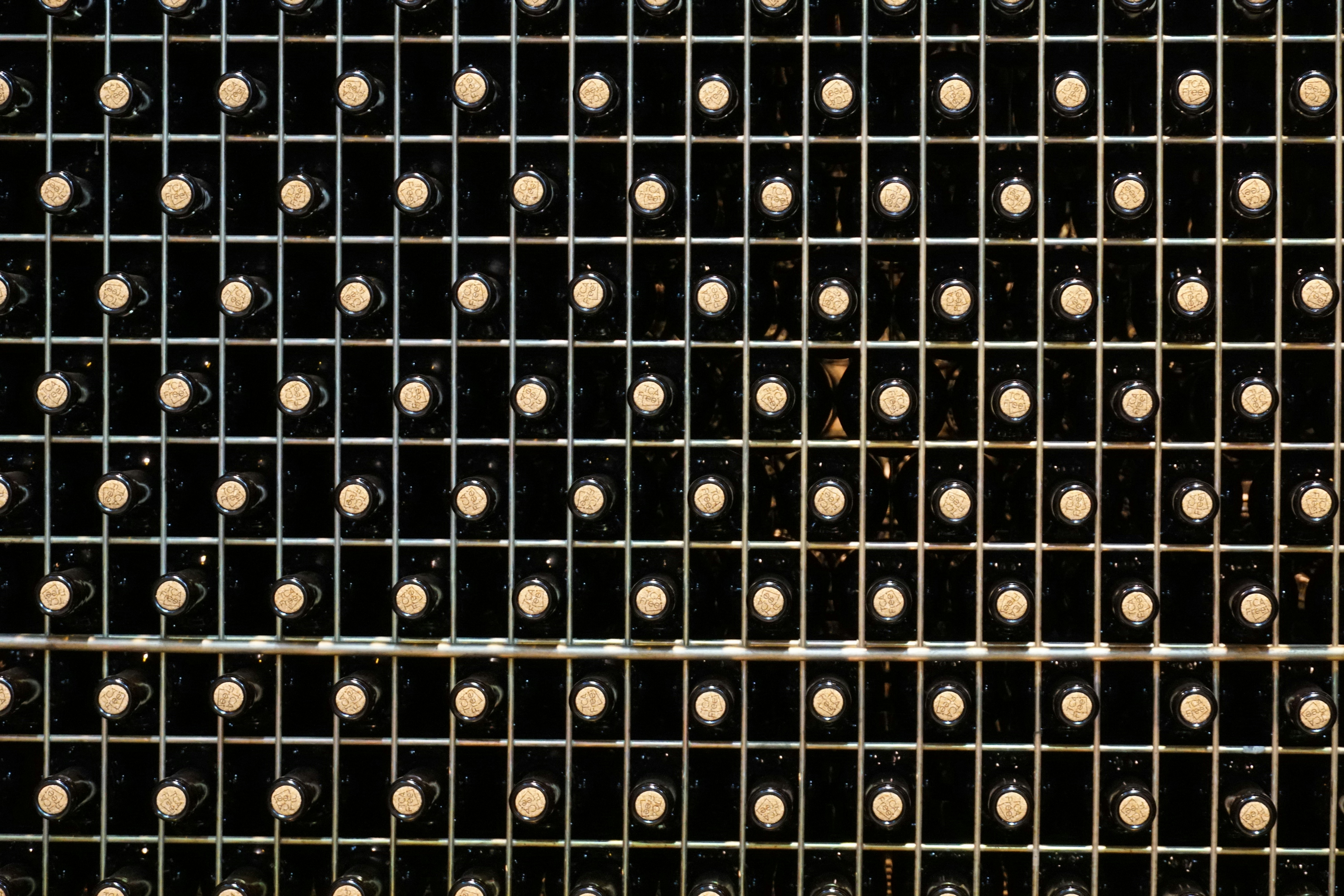 Photo by qld_traveller