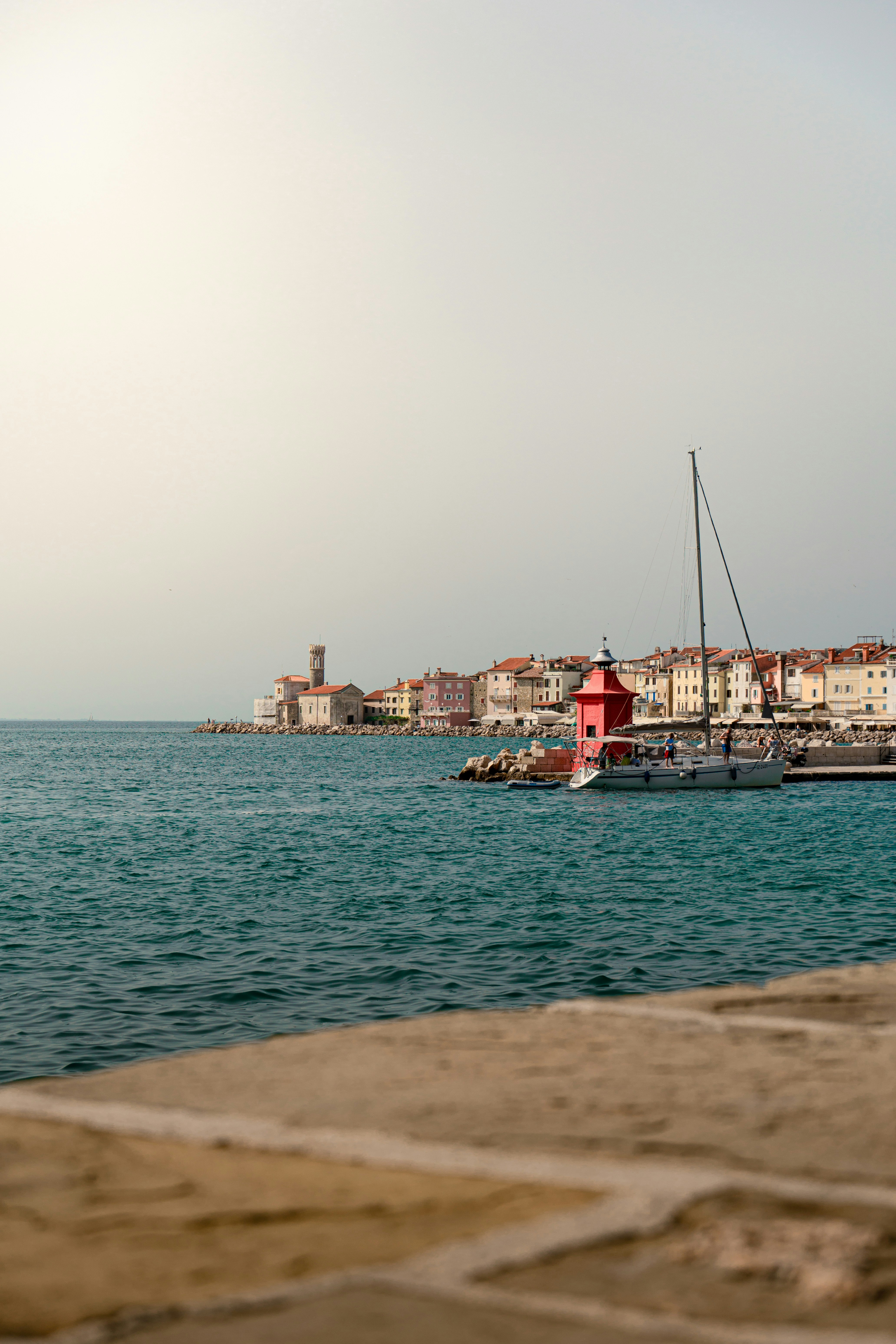 Photo by eliamassignan