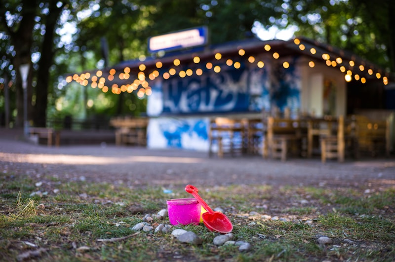 The bar — fairy lights and fish tacos