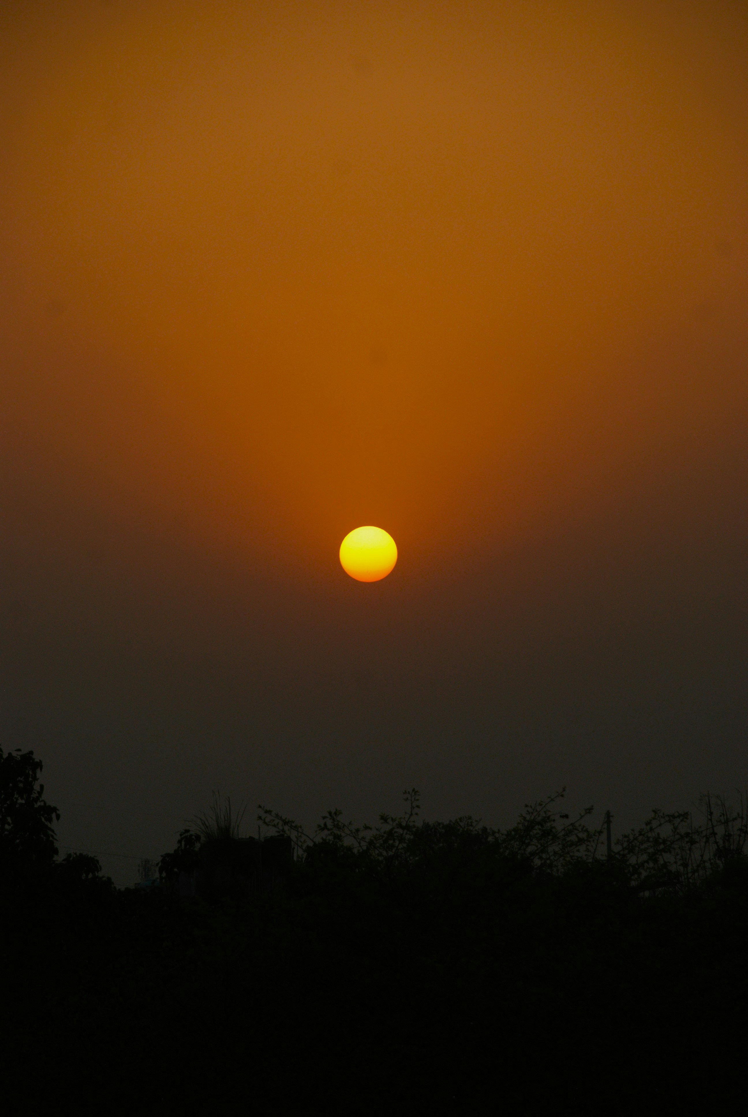 Photo by ishxnclicks