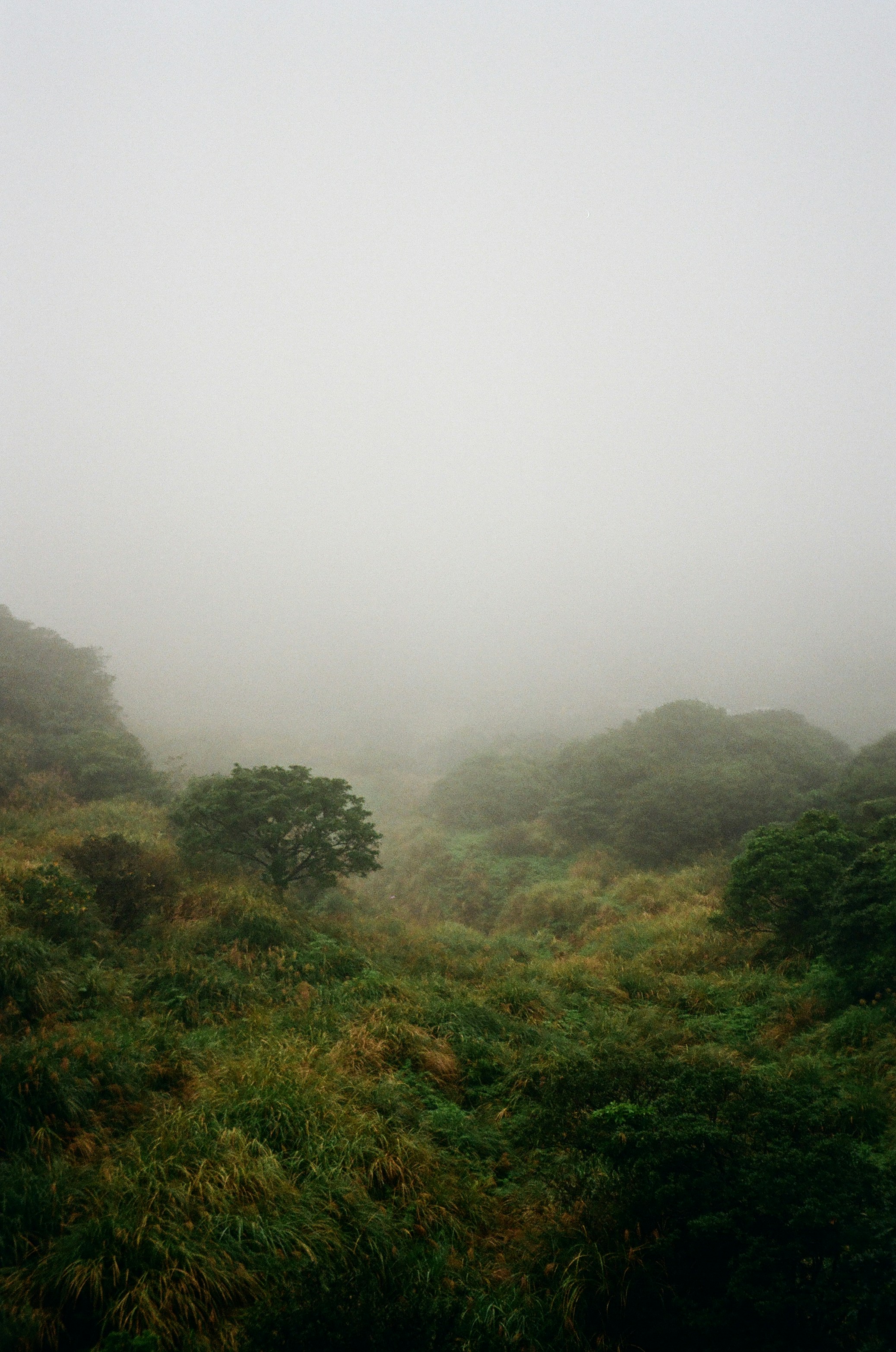 Photo by yafayeu