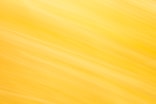 Abstract yellow and white streaks create a bright background.