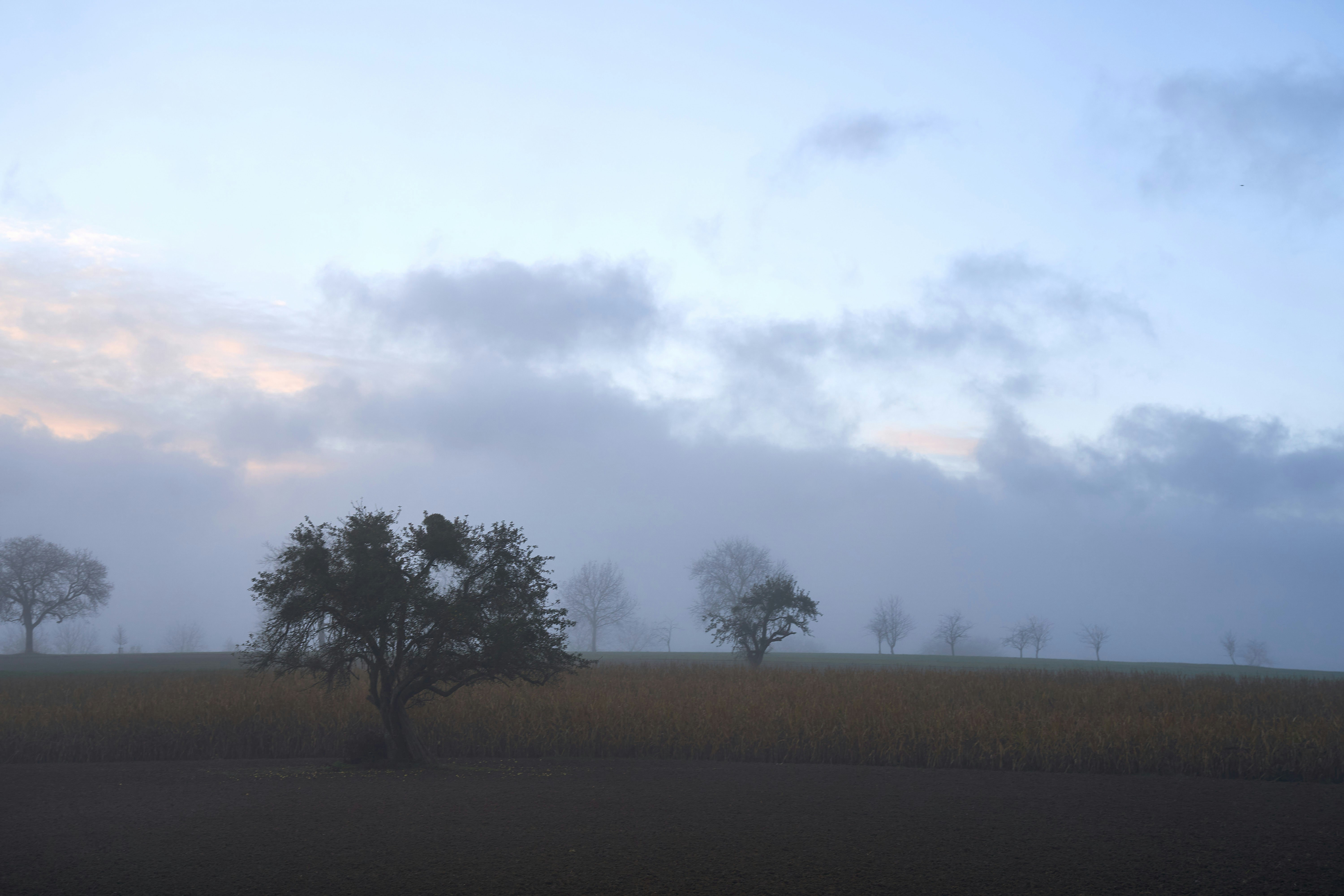 Photo by wolfgang_hasselmann