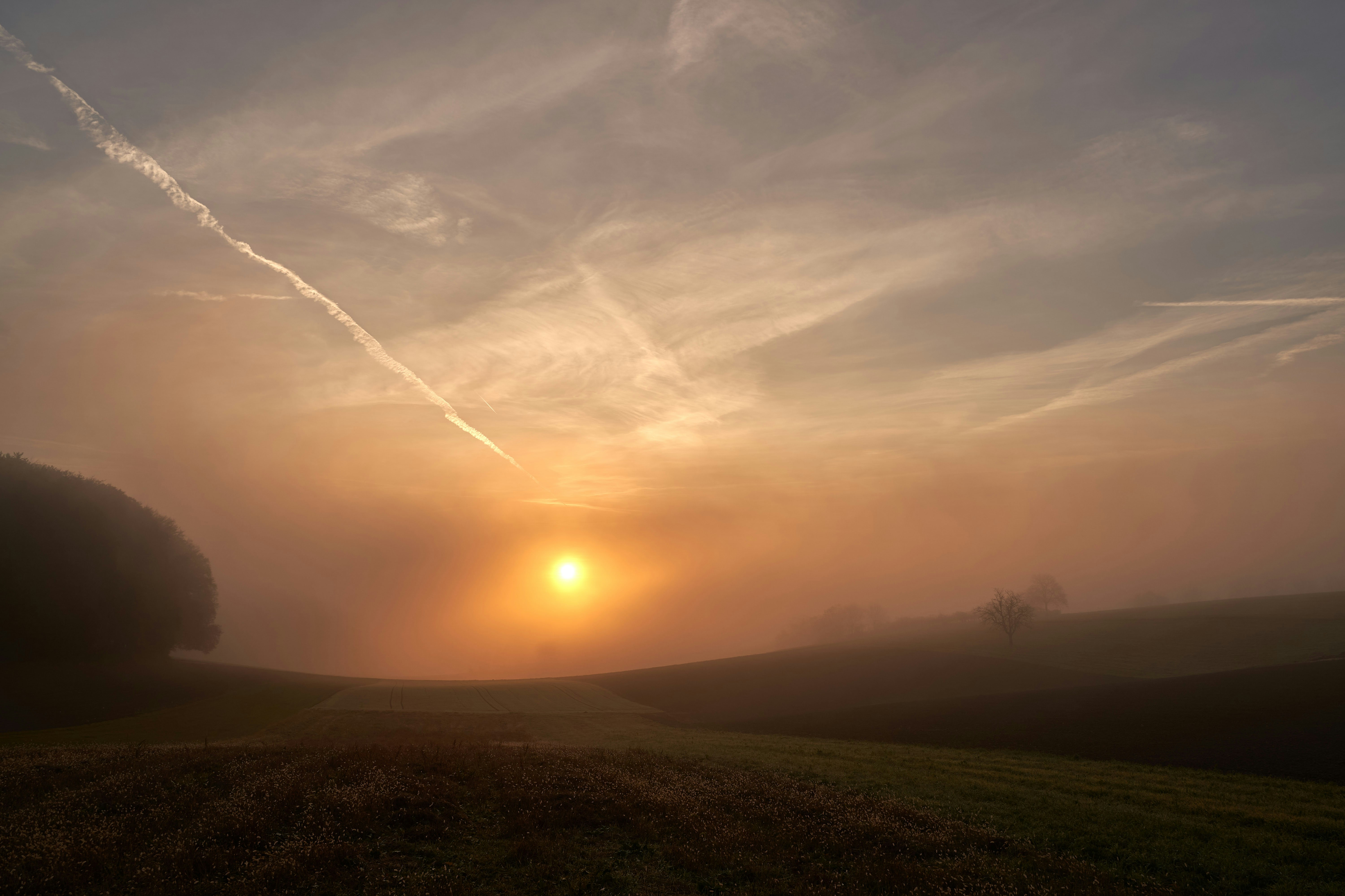 Photo by wolfgang_hasselmann