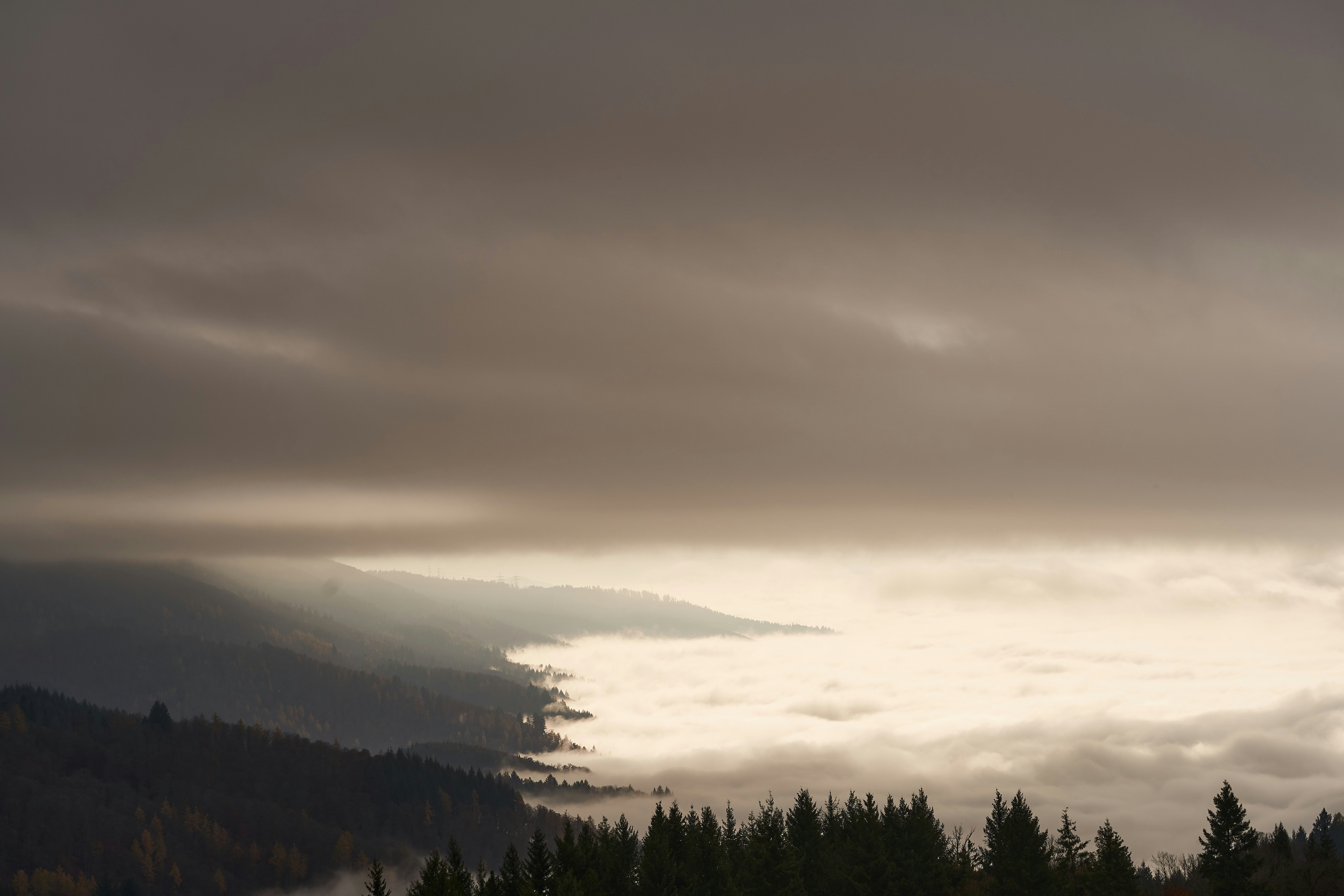 Photo by wolfgang_hasselmann