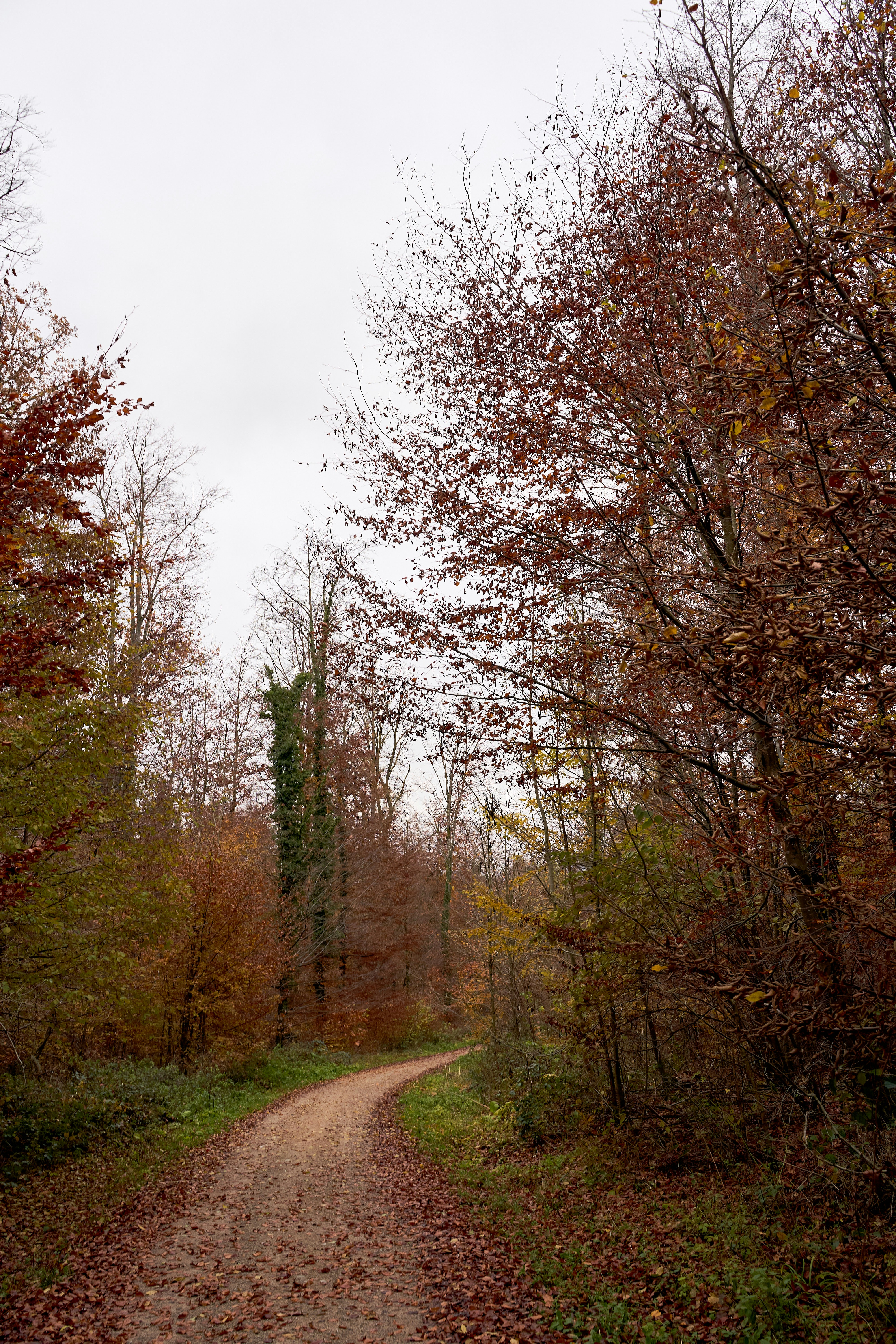 Photo by wolfgang_hasselmann