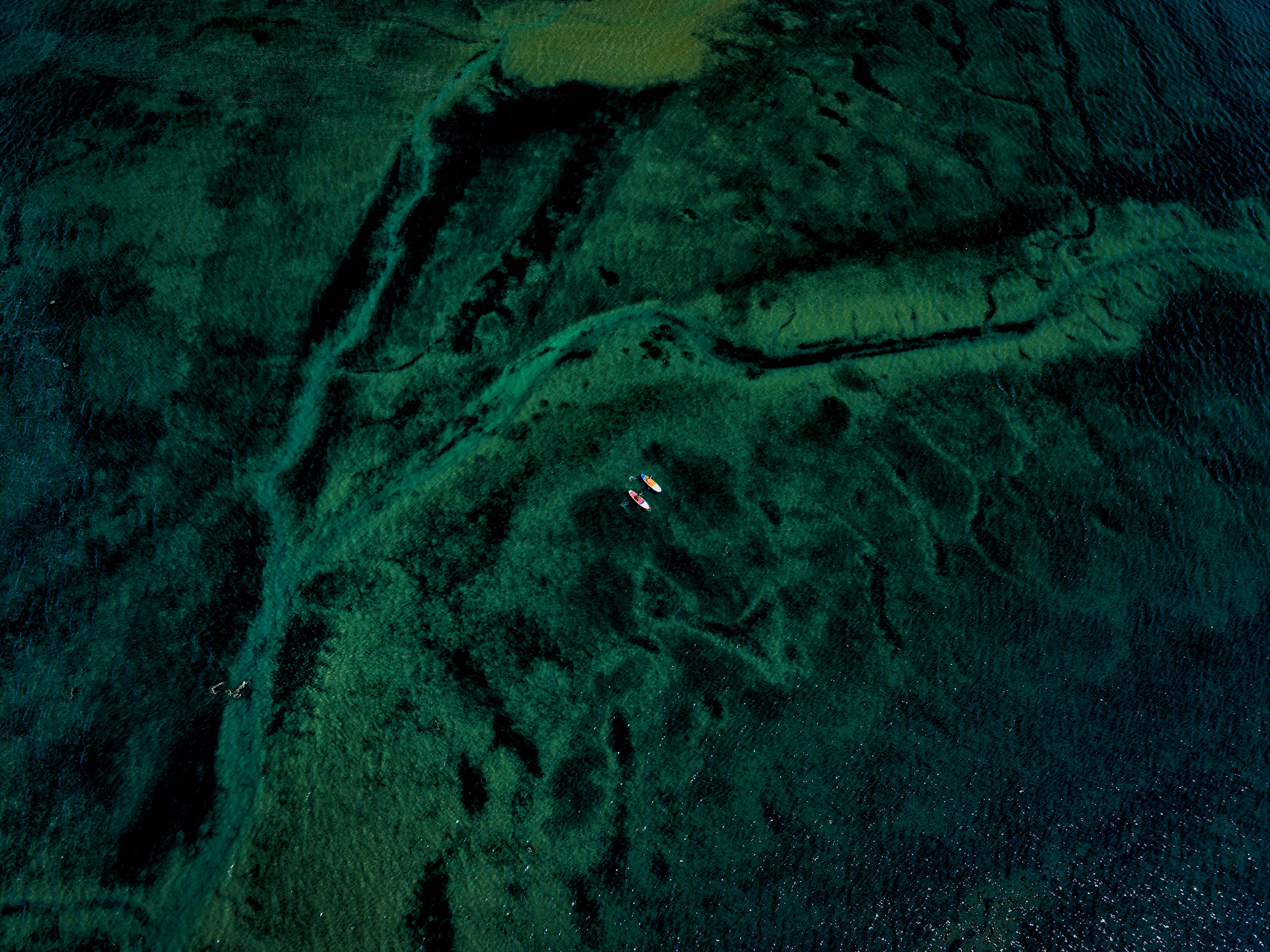 DPS 周刊 205 - 选择比努力更重要