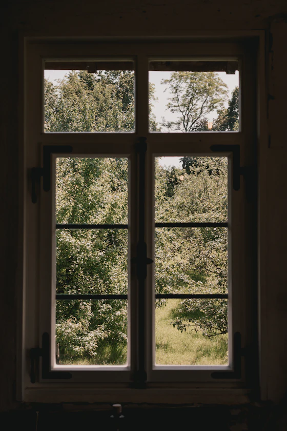 Weatherstripping on a window