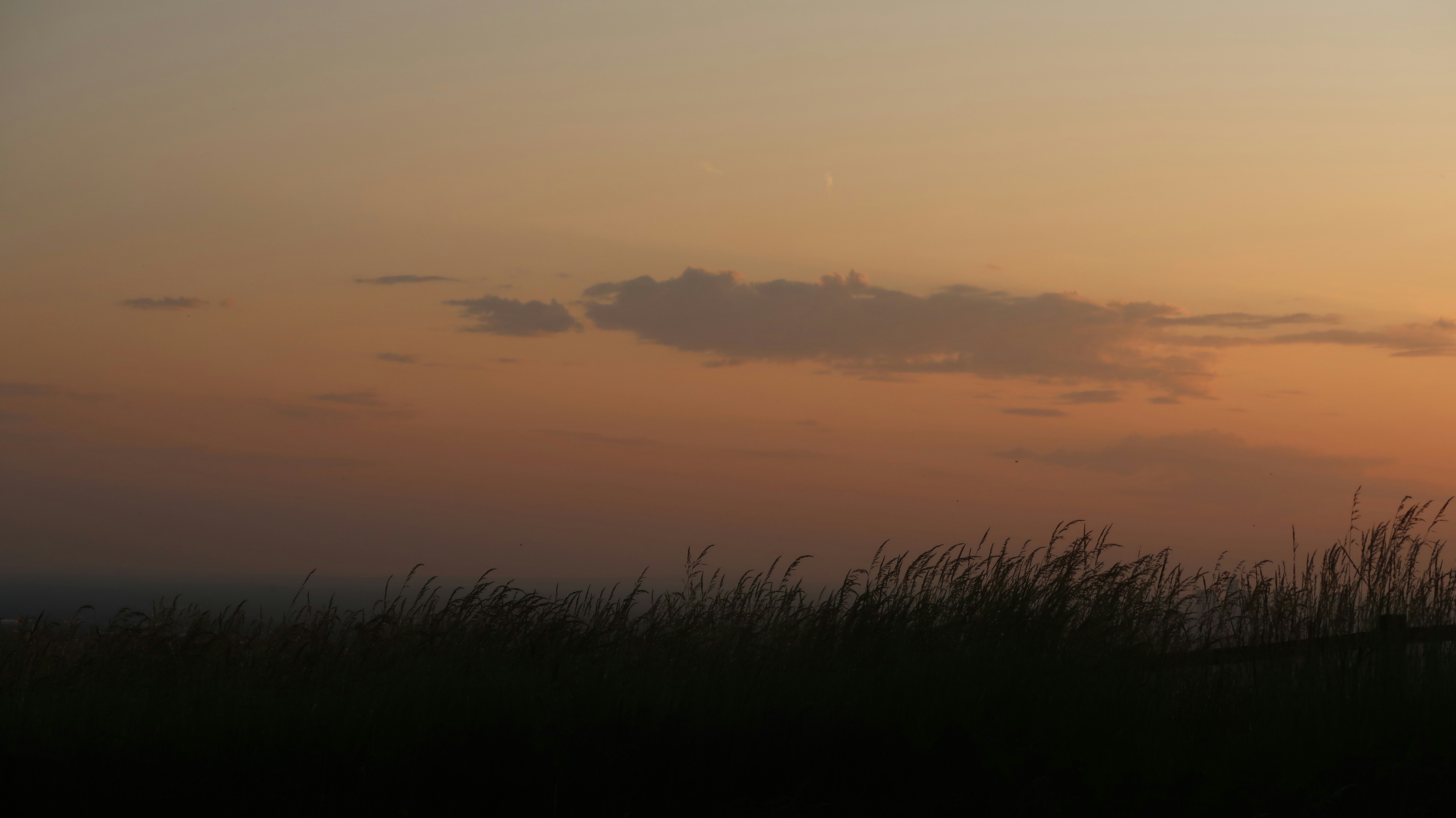 Photo by tanyabarrow