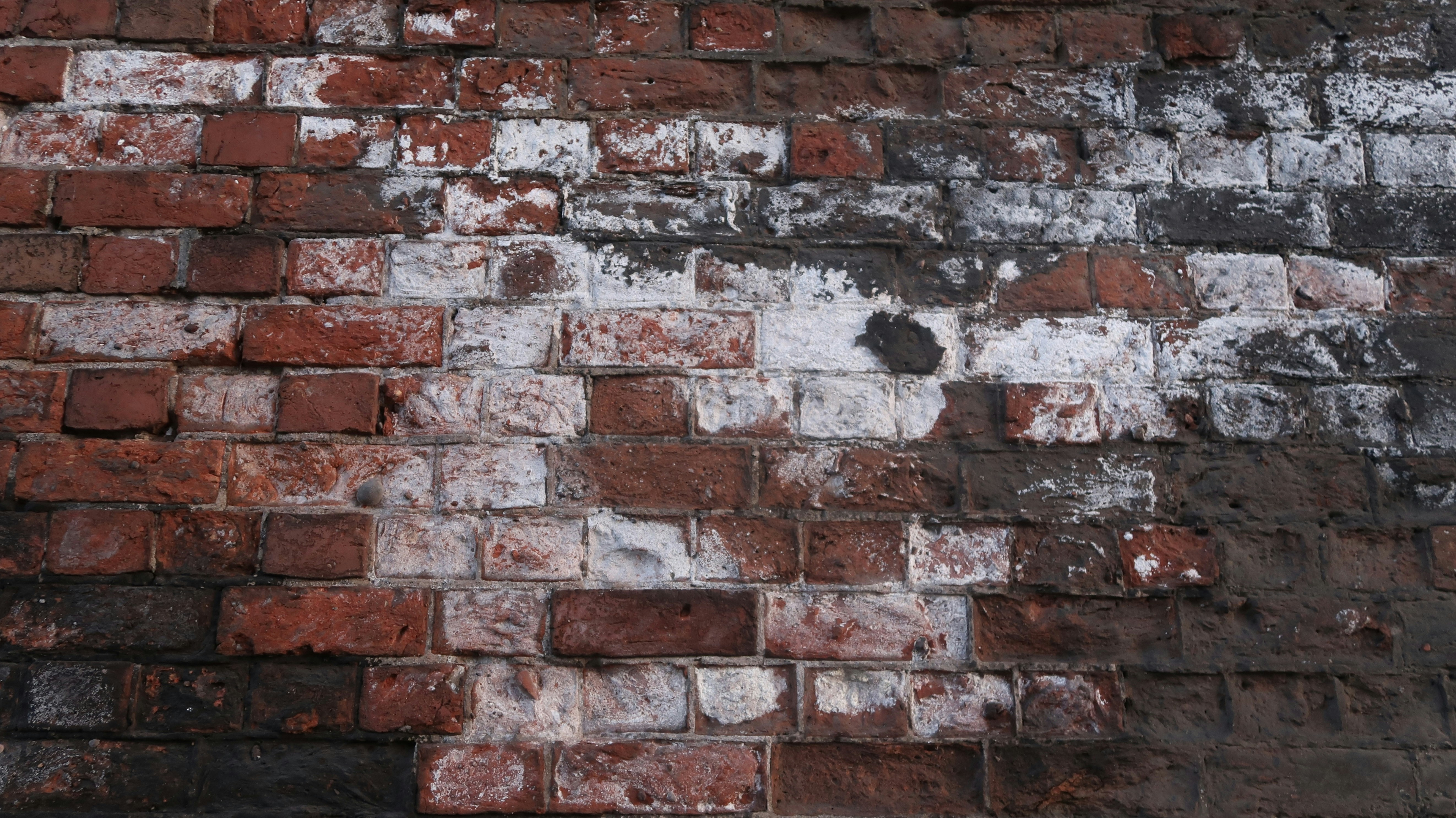 Photo by tanyabarrow