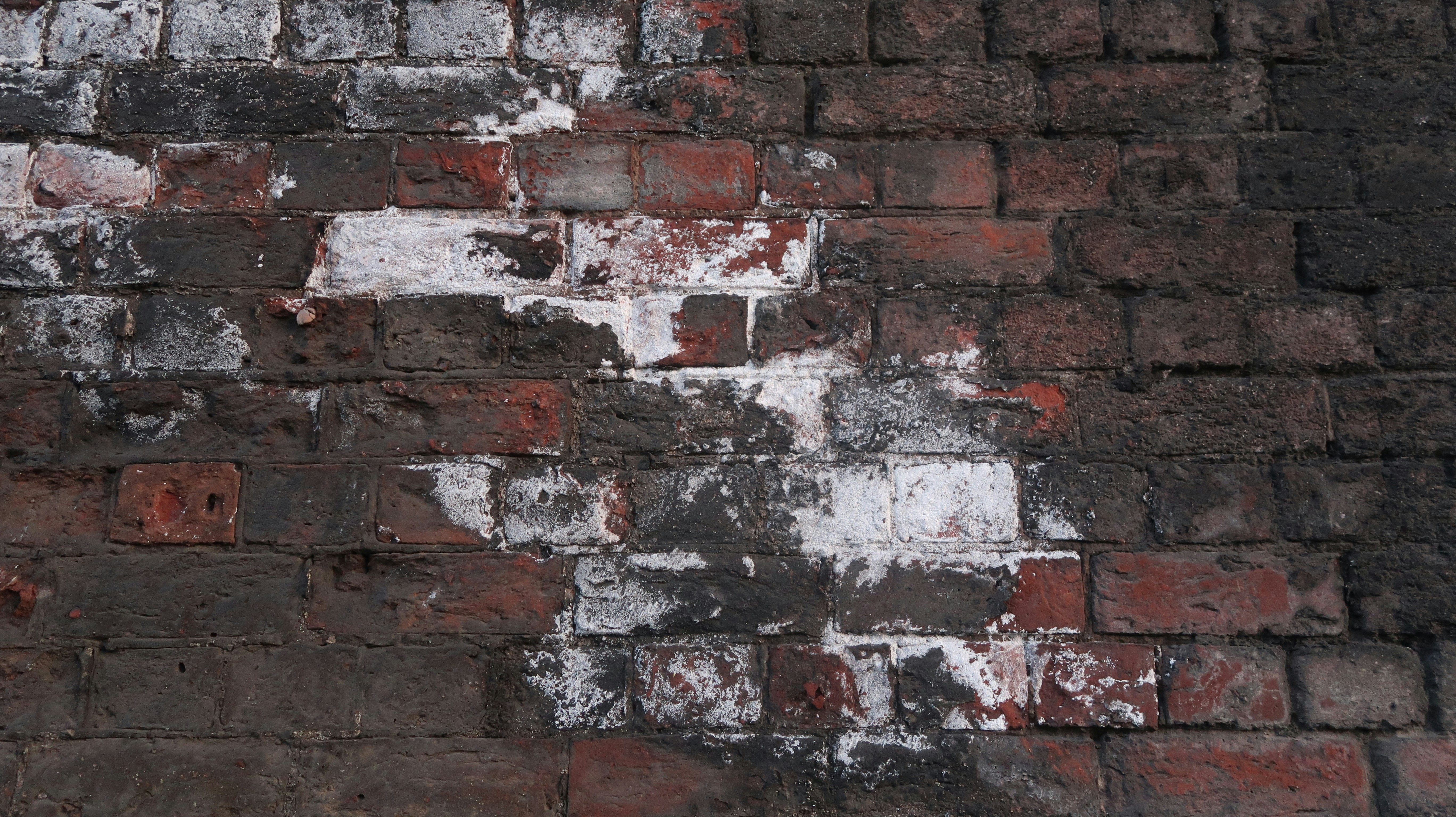 Photo by tanyabarrow