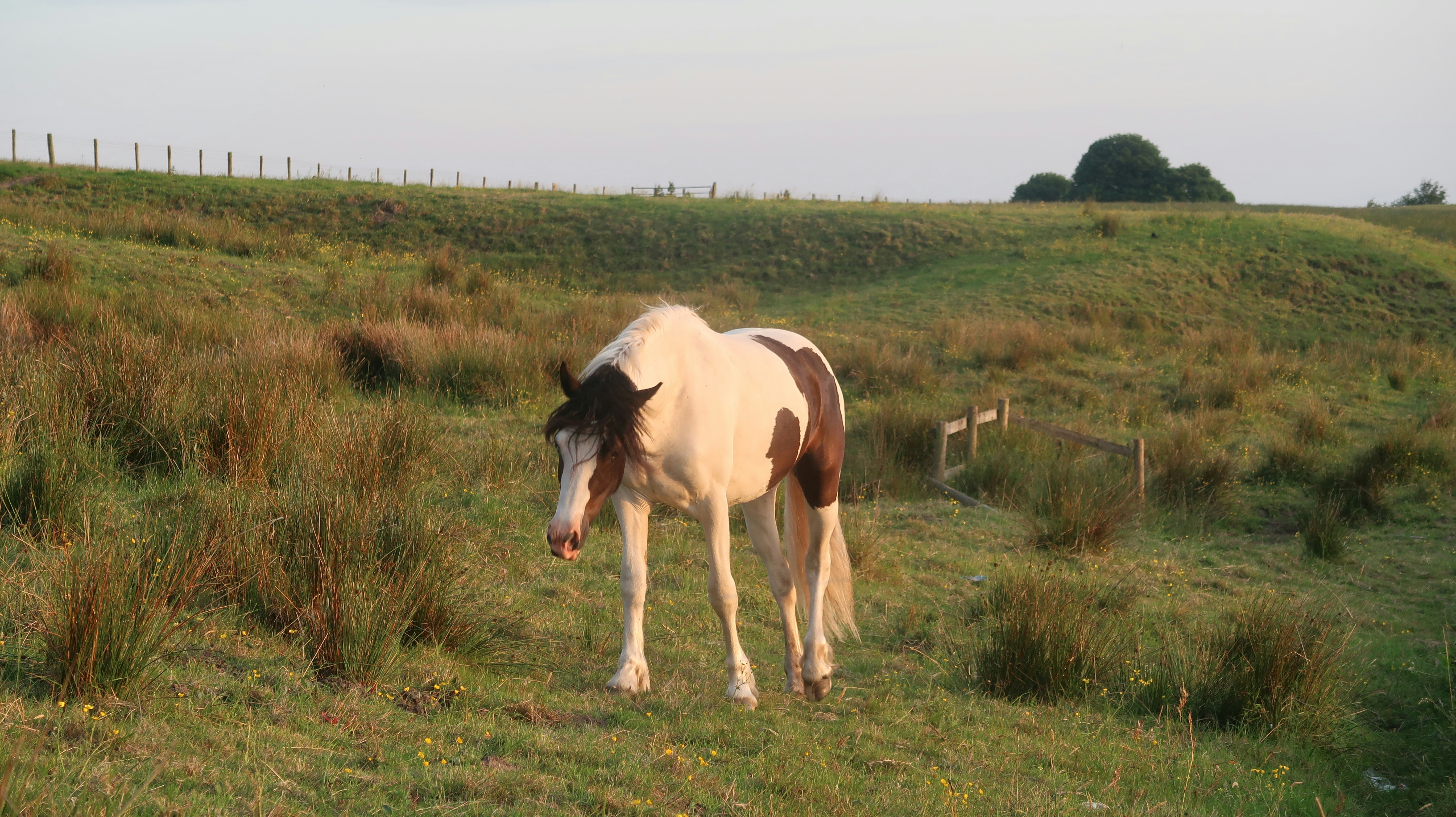 Photo by tanyabarrow