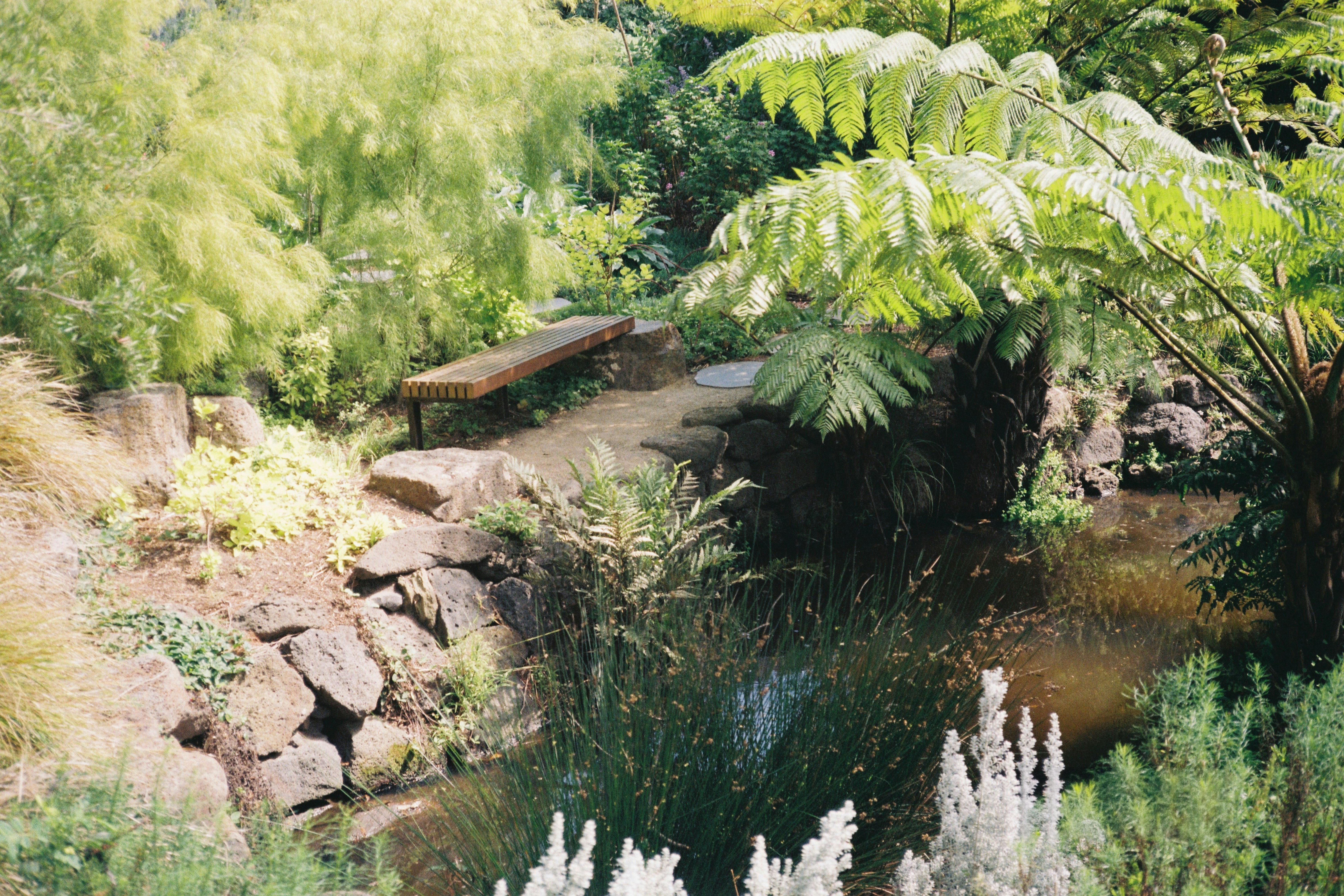 Photo by daphnelinhne