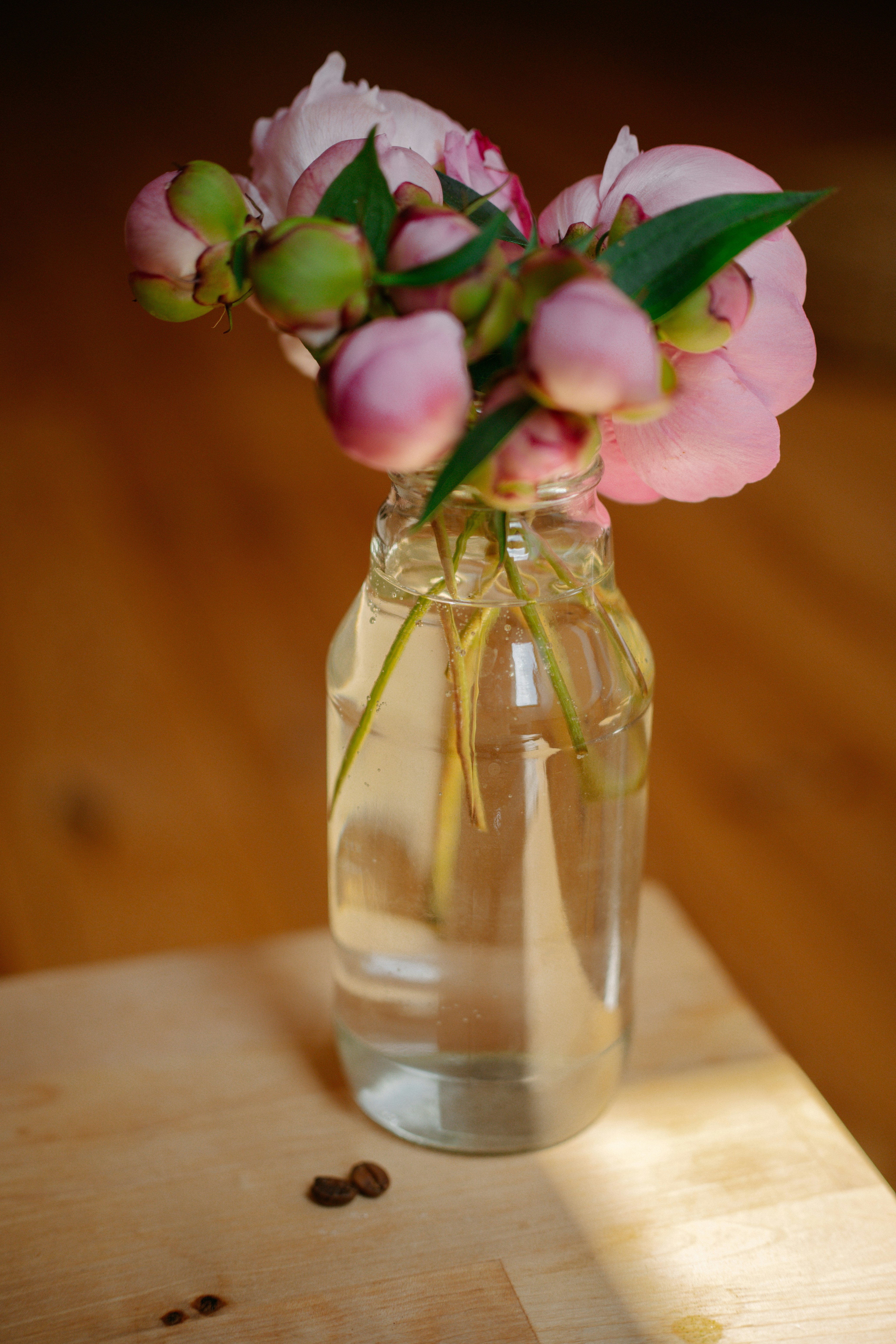 Photo by raymondpetrik