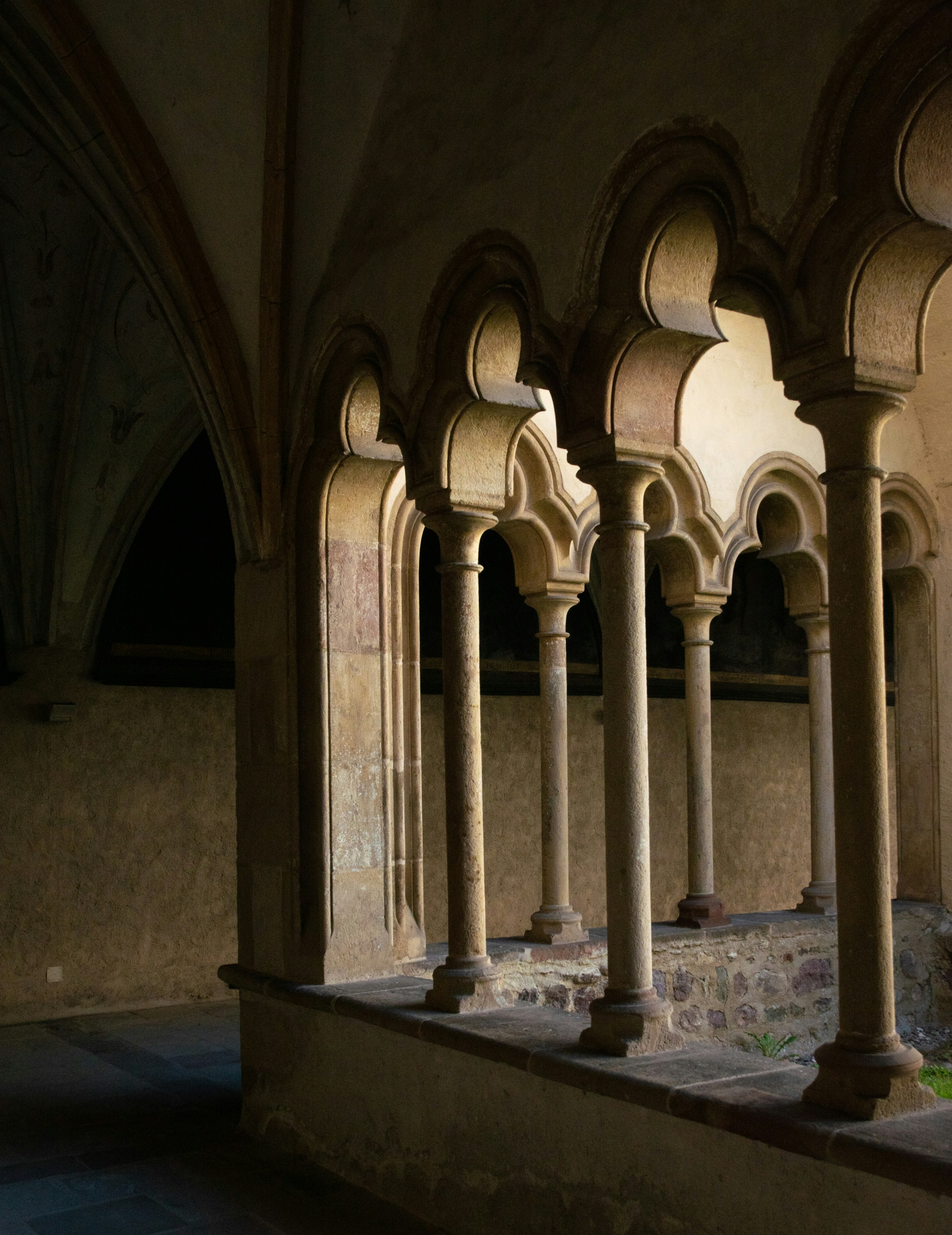 Photo by vjeblackbirdlion