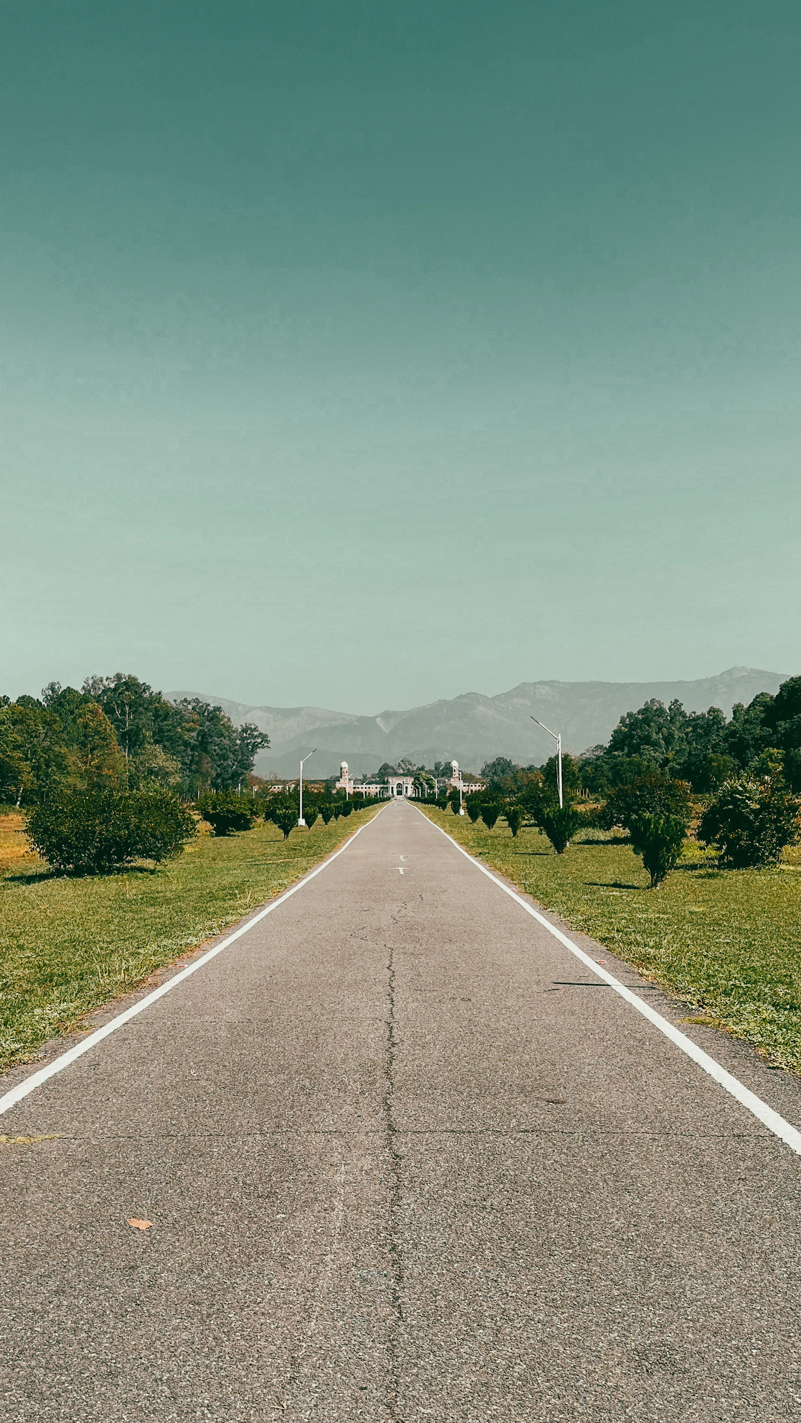 Tree-lined approach road to the VIDYA campus