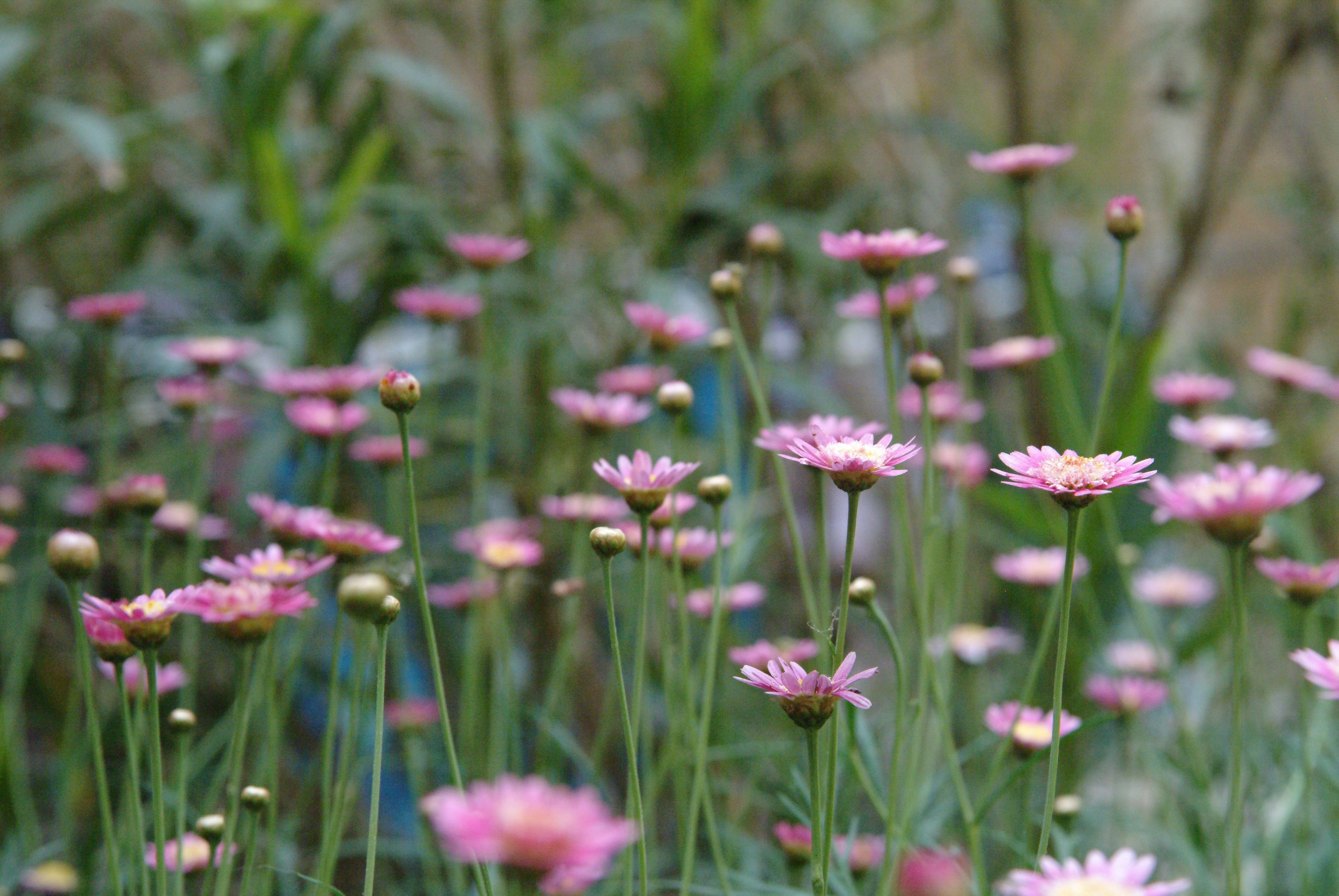 Photo by laviperchik