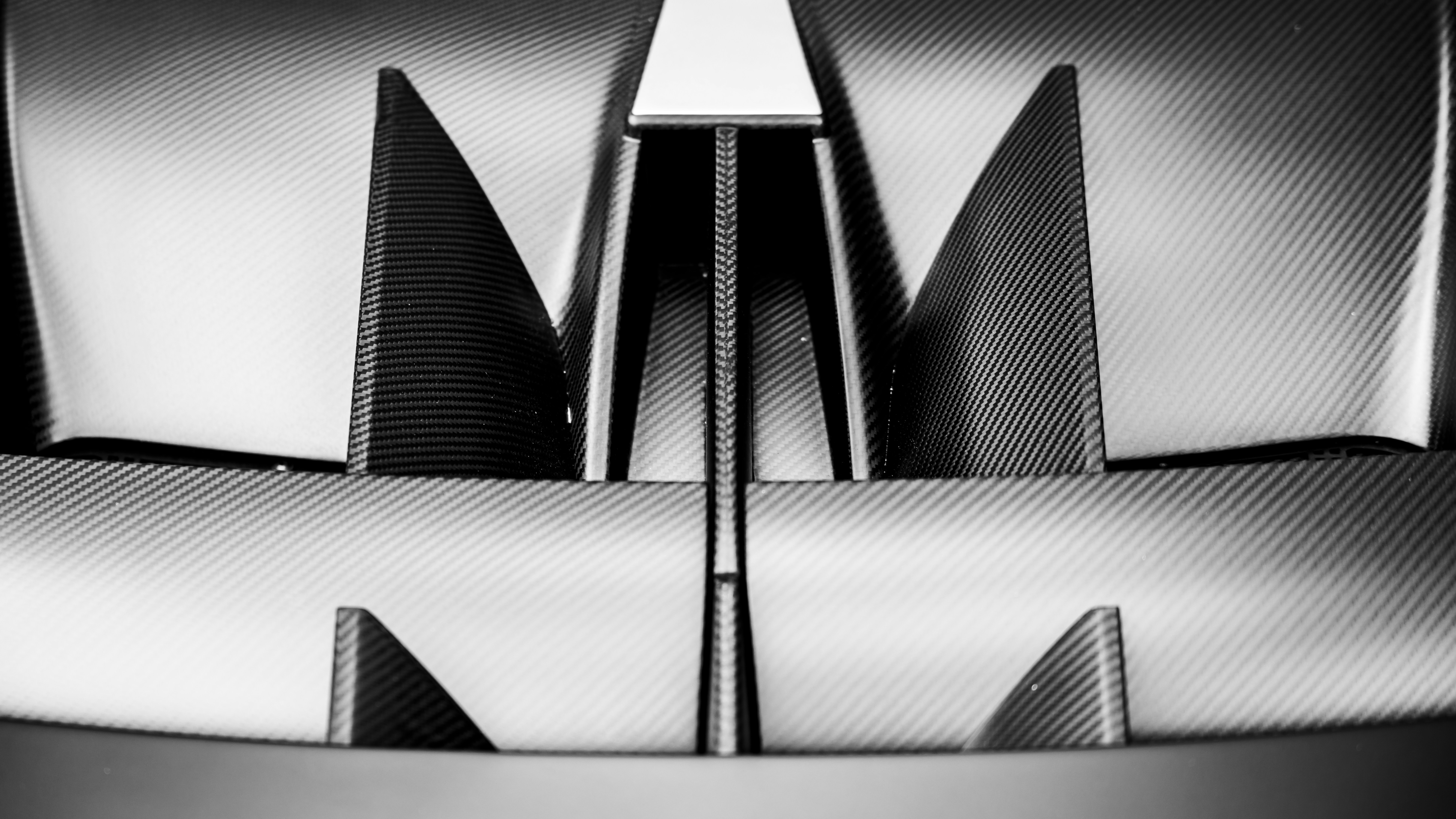 Symmetrical abstract forms are shown in black and white.