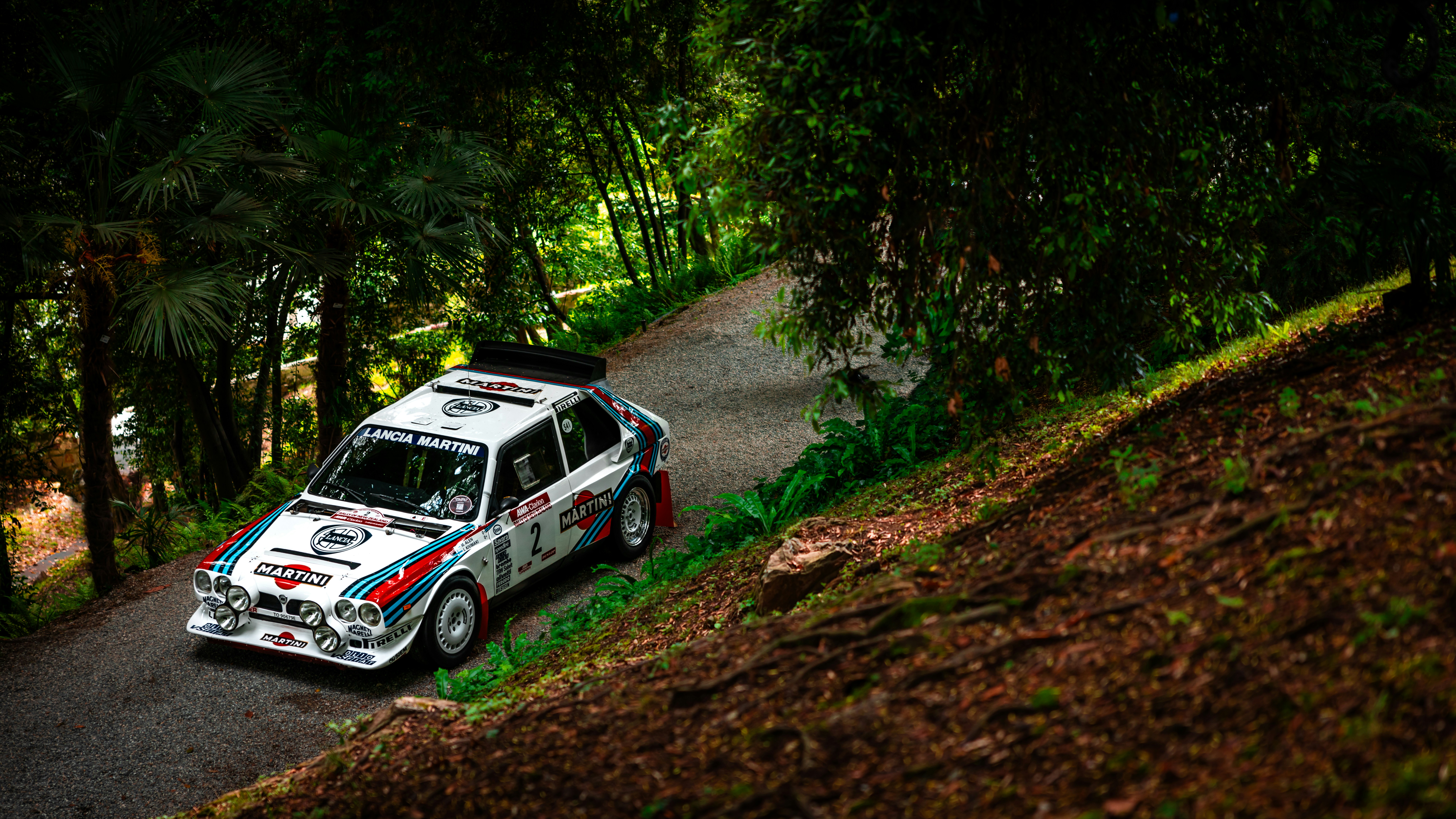 A rally car races down a winding forest road.