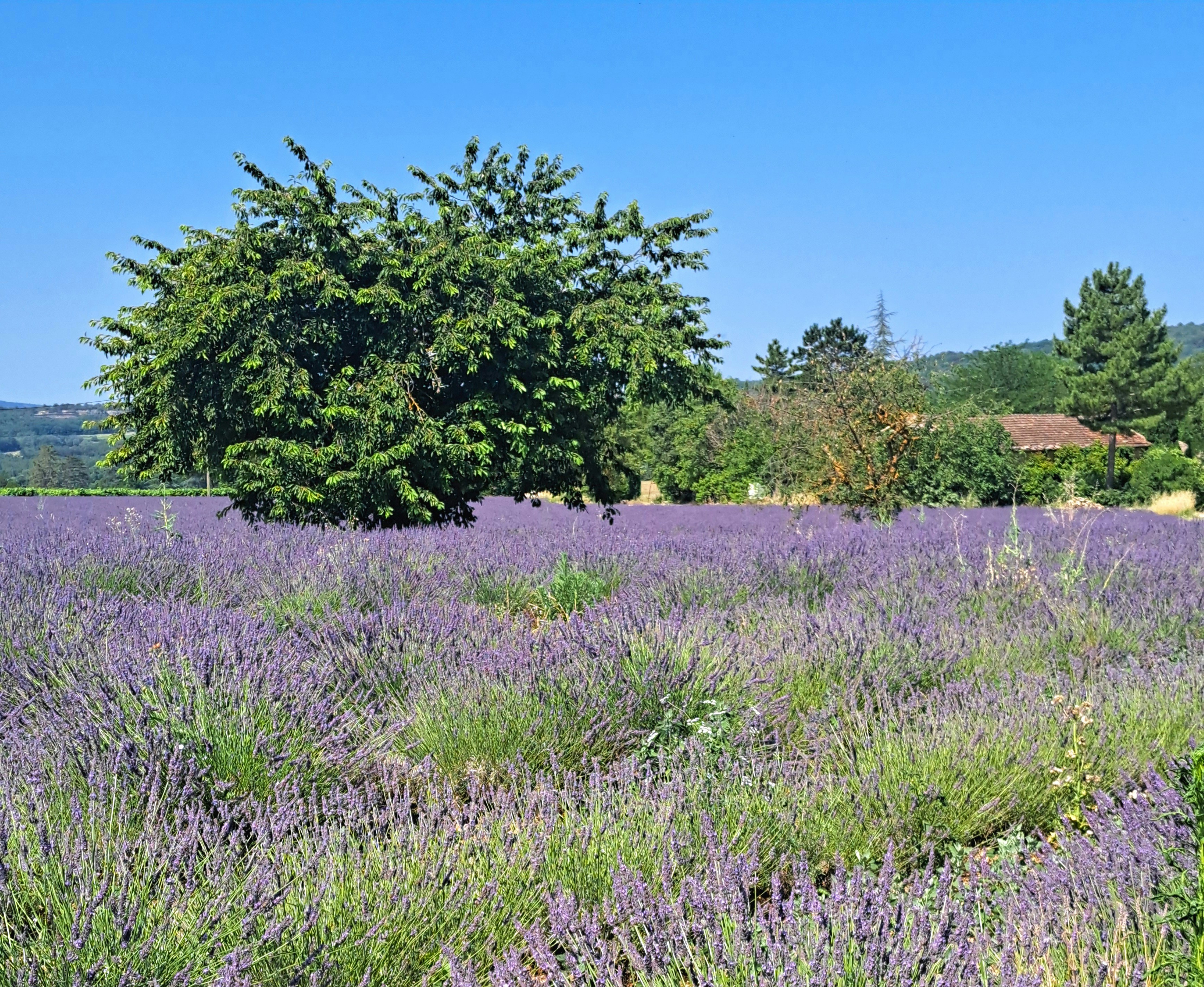 Photo by schreibmich