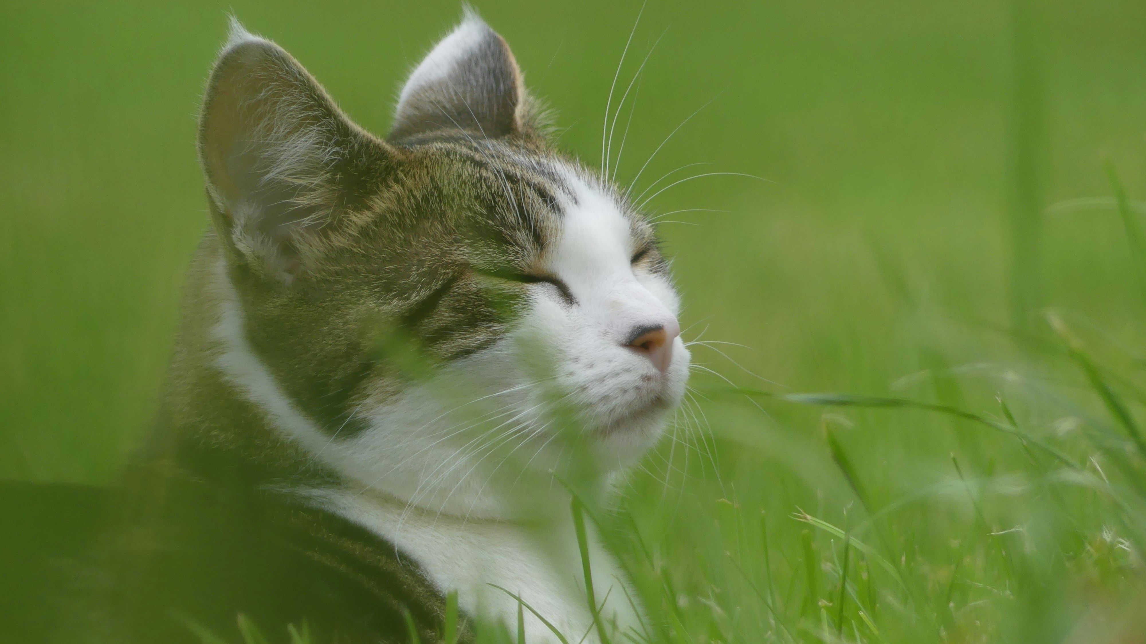 Photo by rowan_wallace