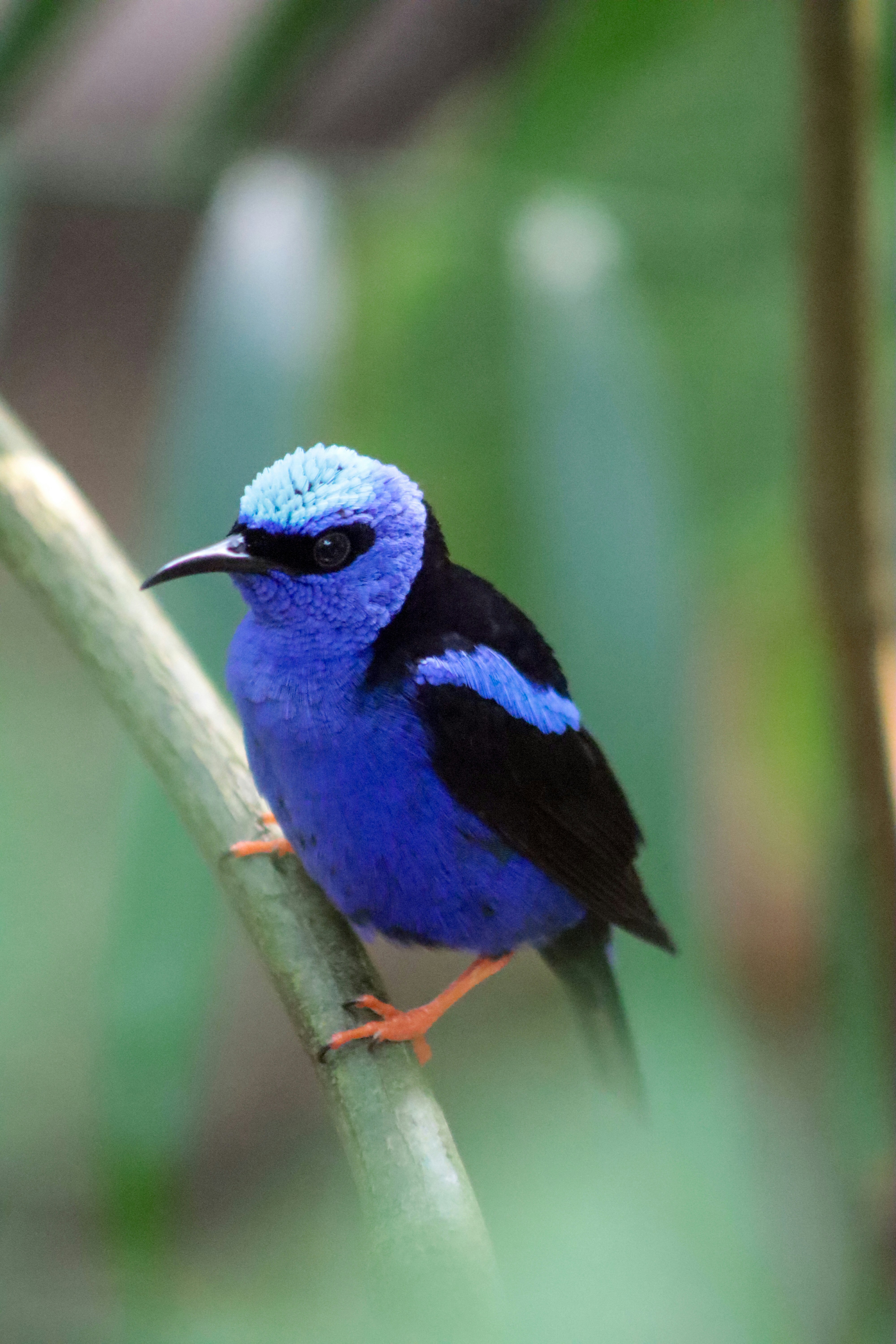 Photo by kccreations