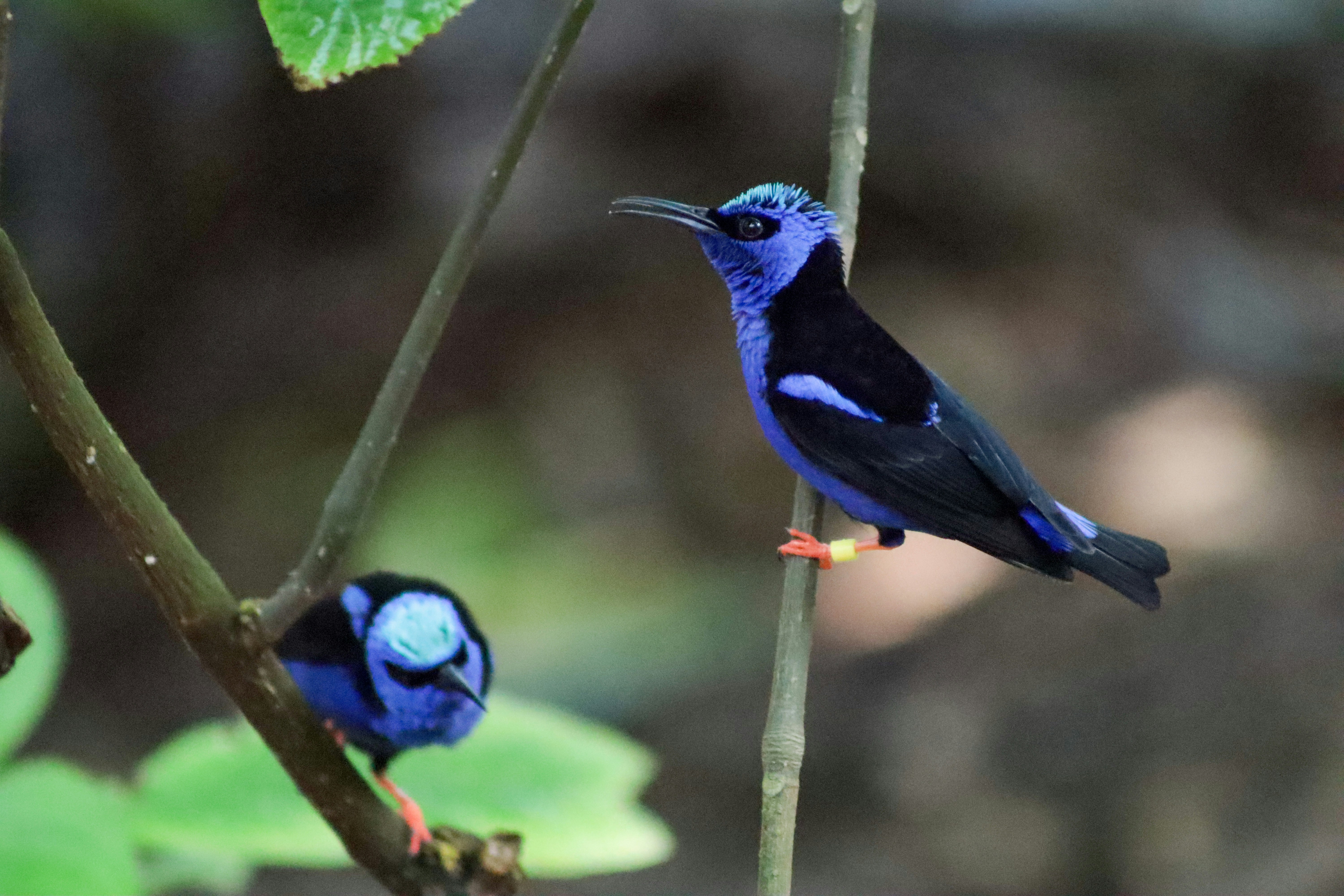 Photo by kccreations