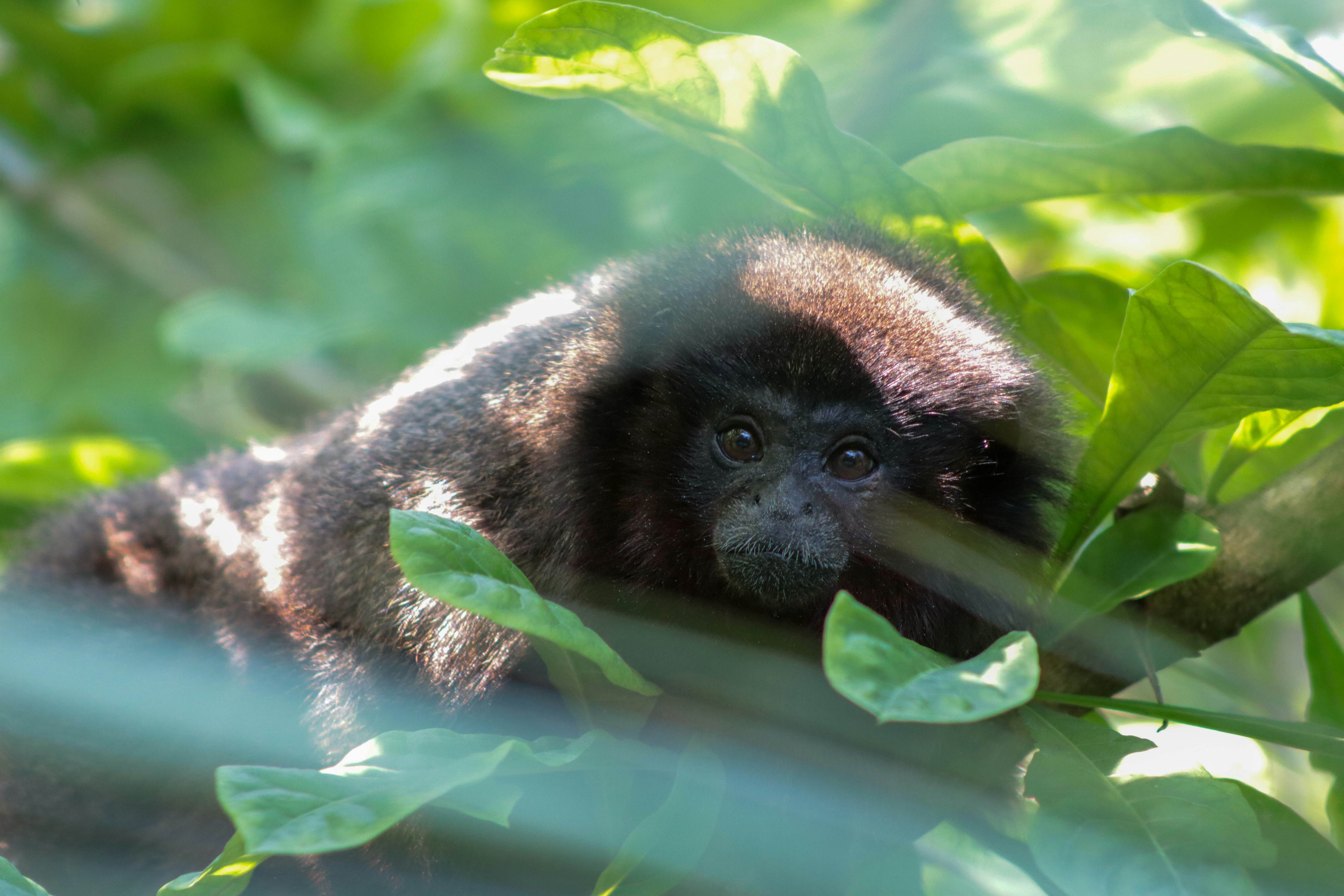 Photo by kccreations