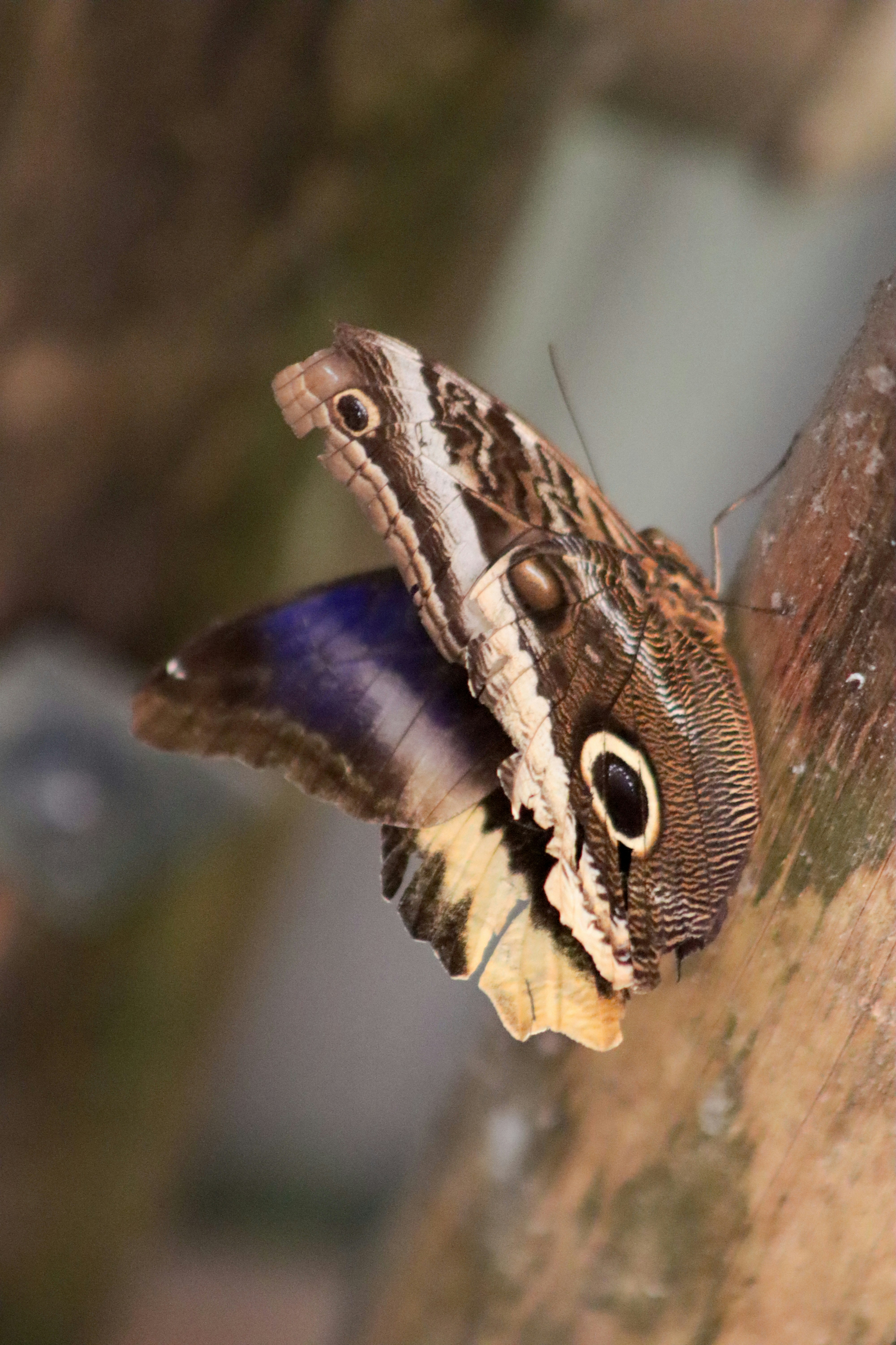 Photo by kccreations