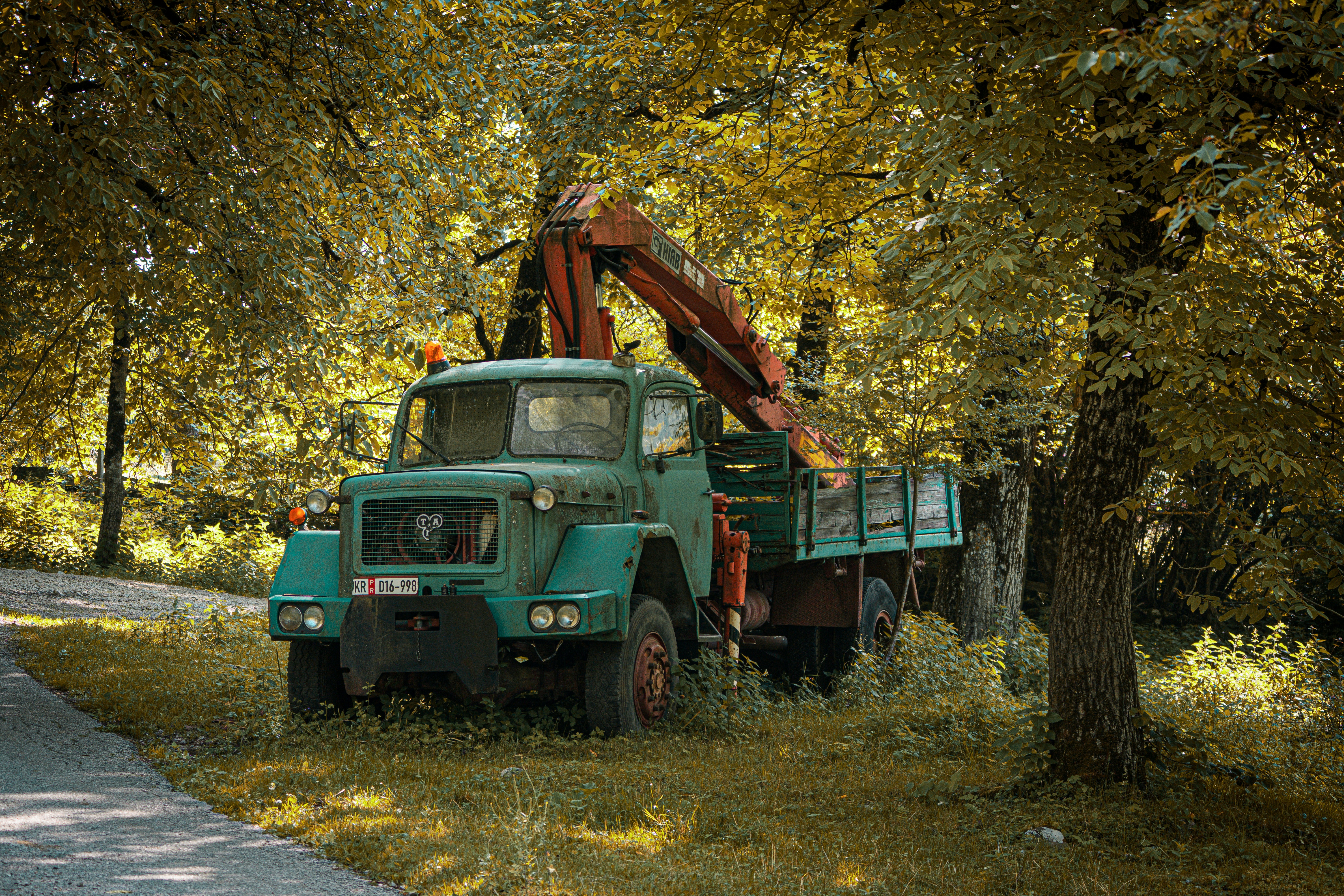 Logging truck in forest