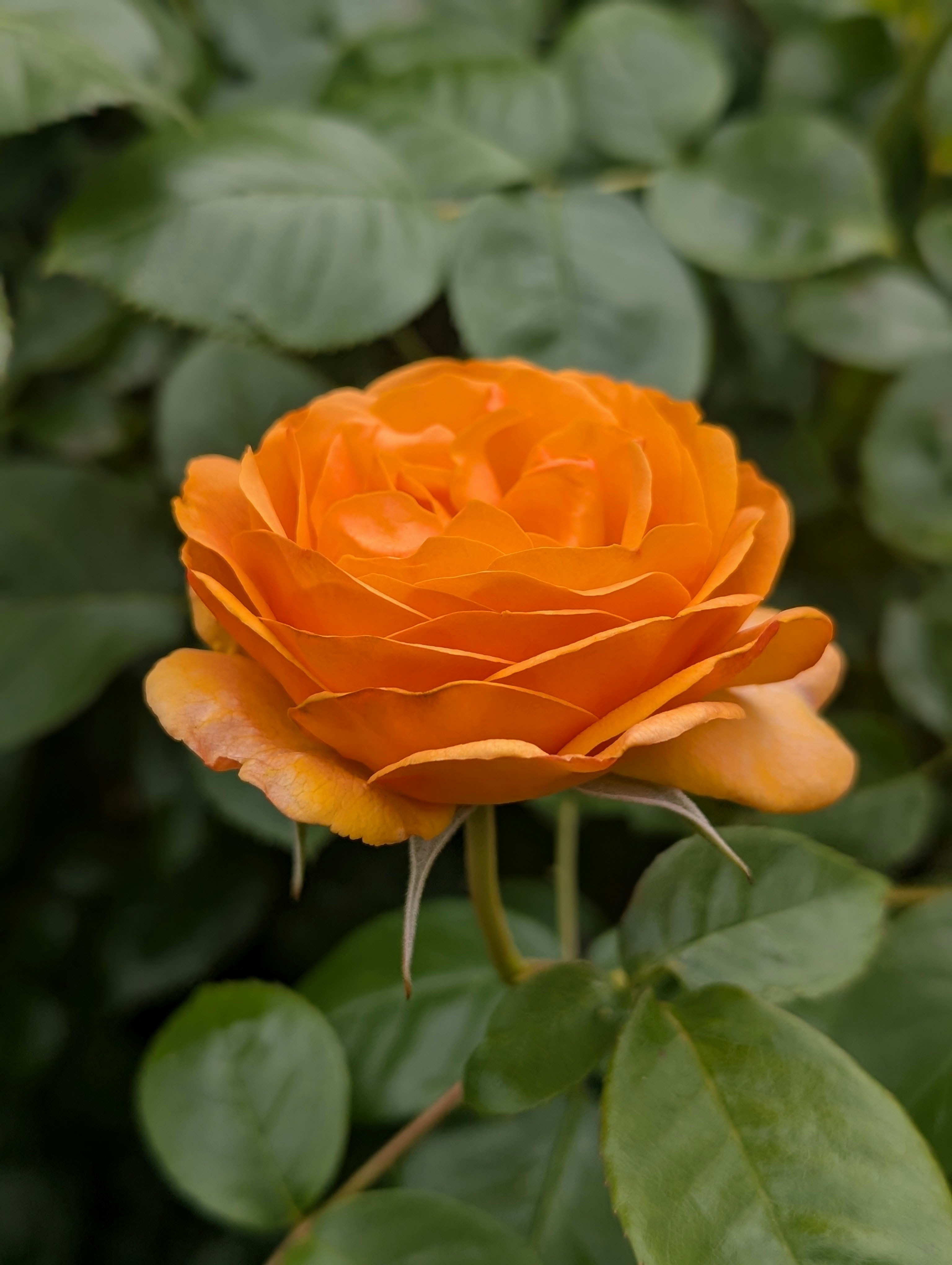 Photo by allsadwords