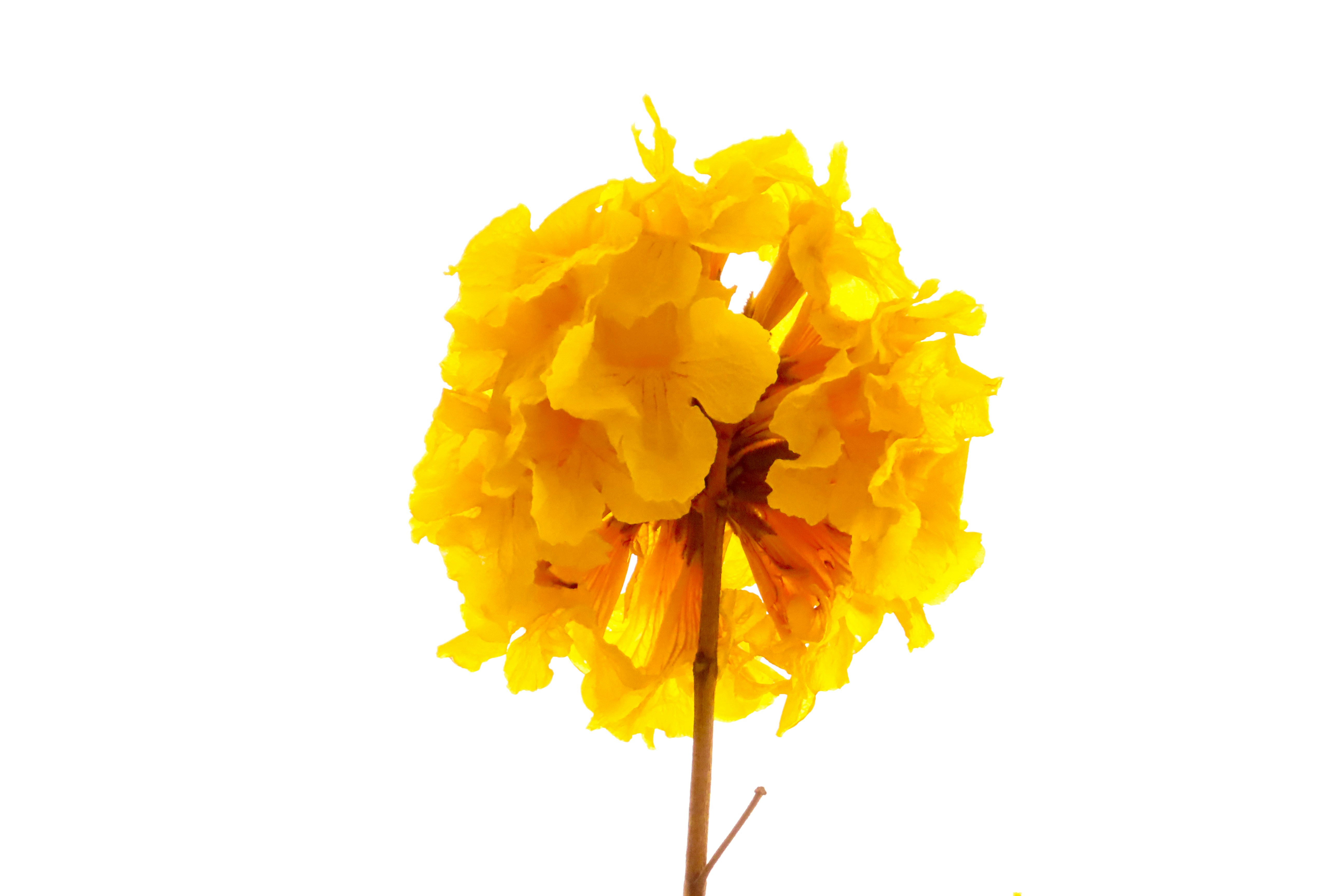 Photo by todayzcapture