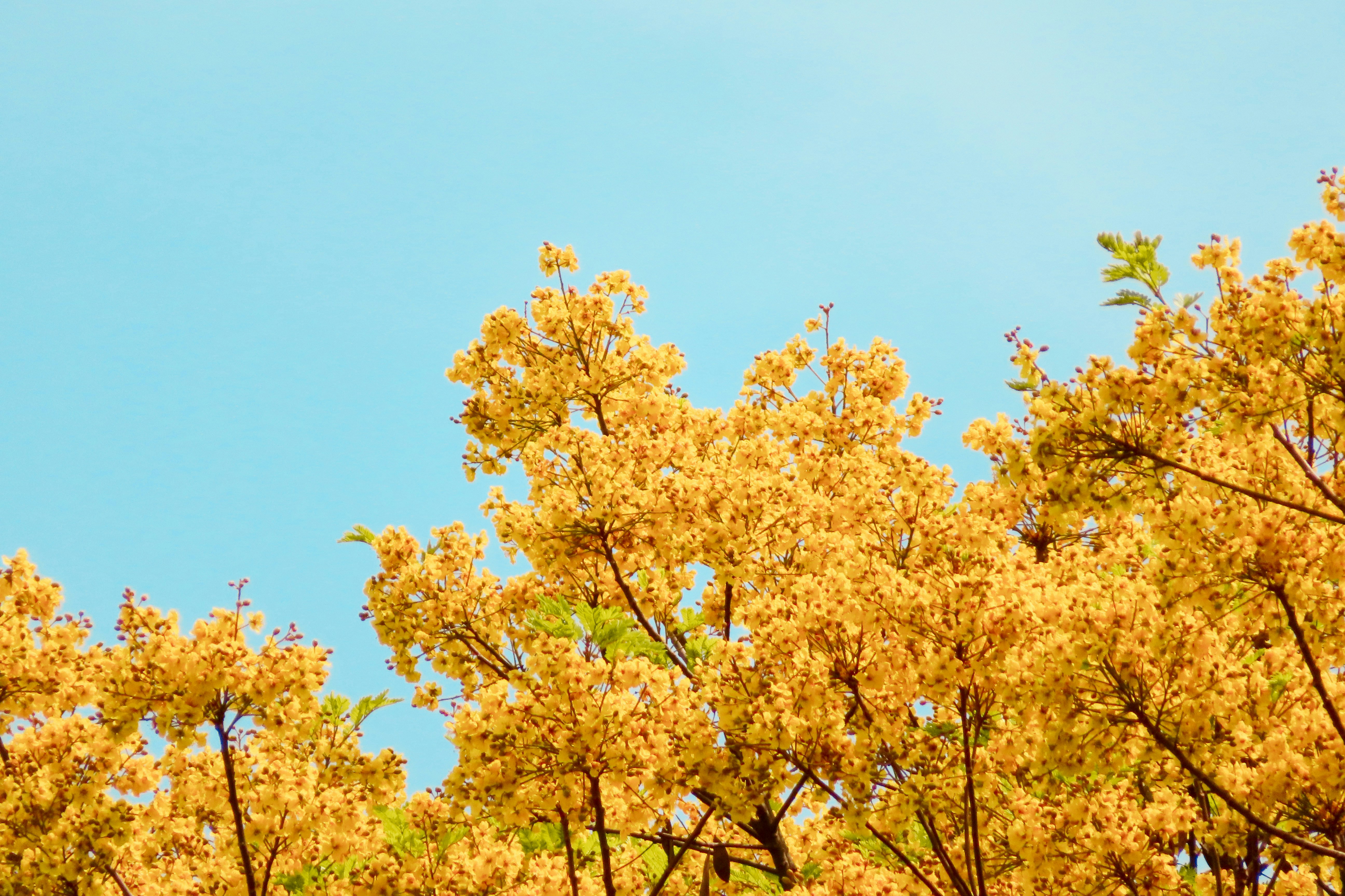 Photo by todayzcapture