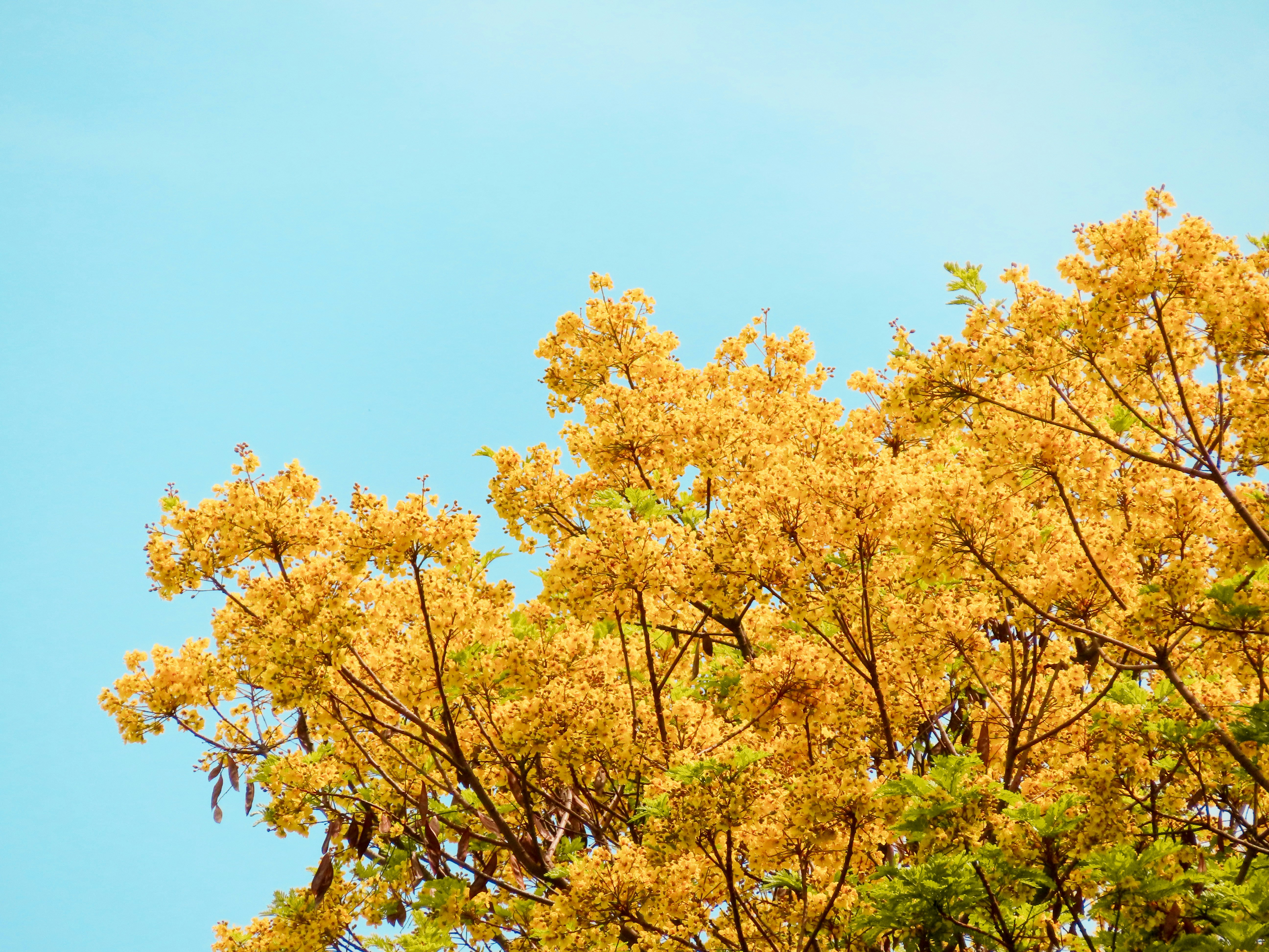 Photo by todayzcapture