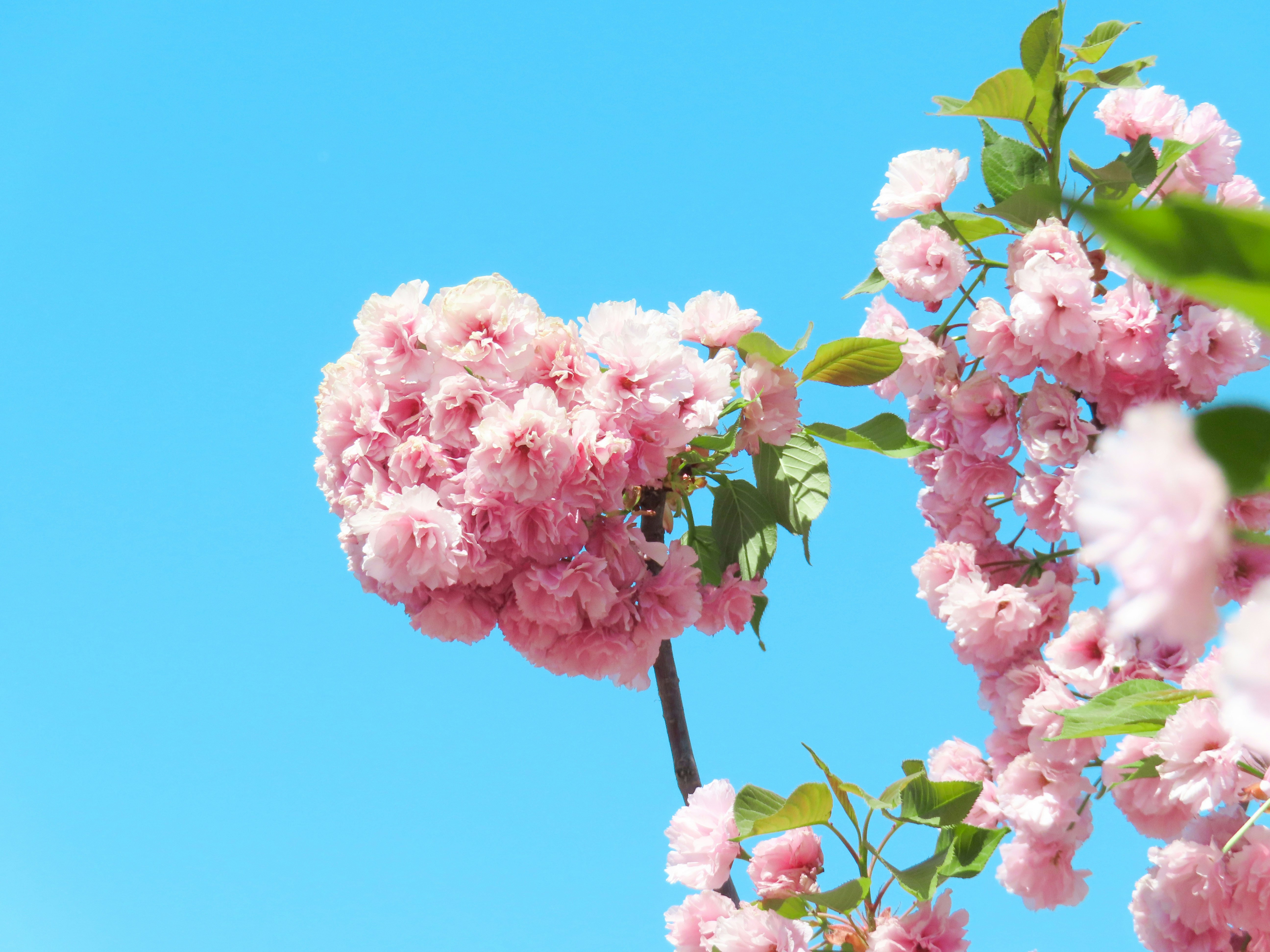 Photo by todayzcapture