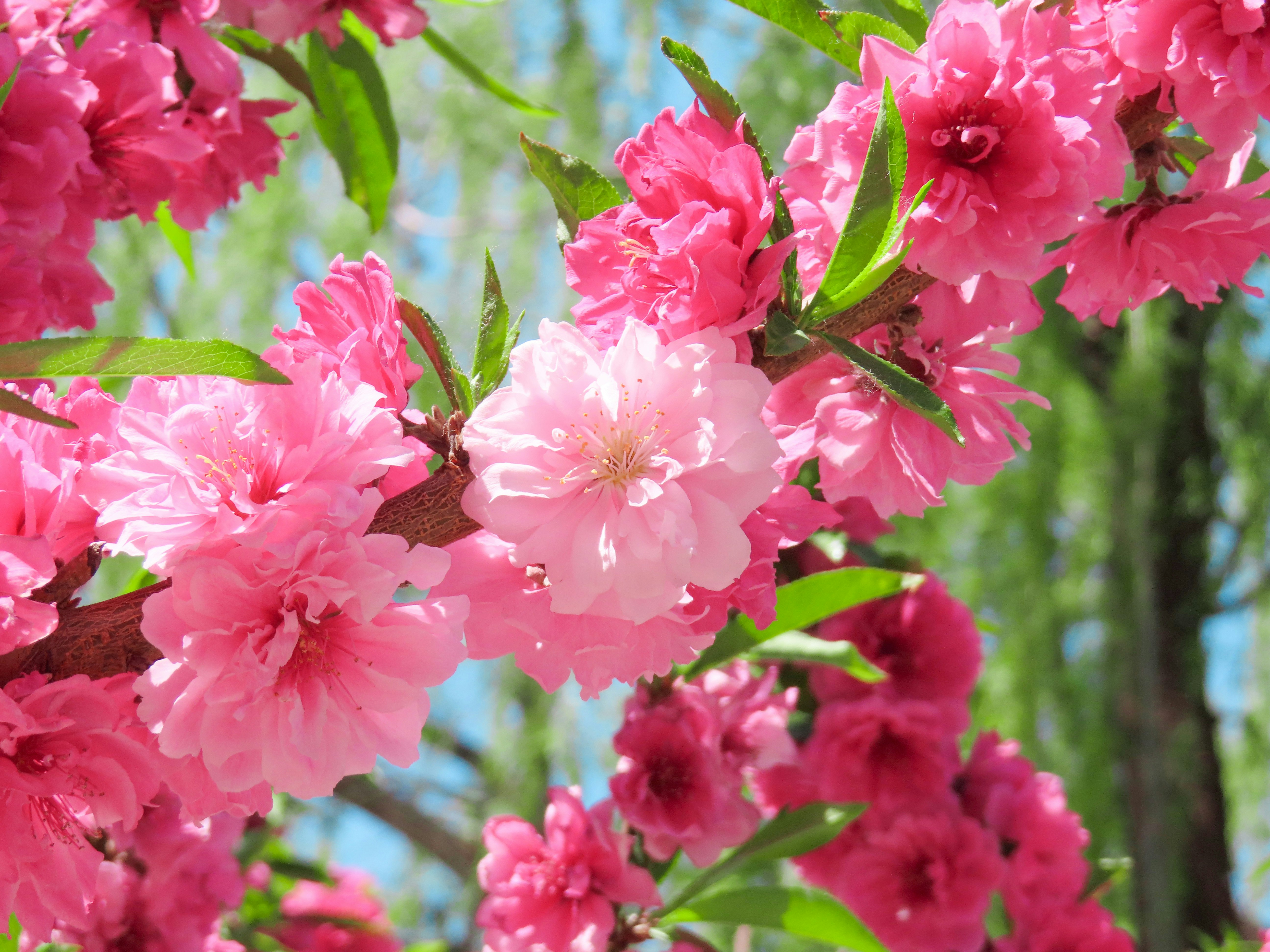 Photo by todayzcapture