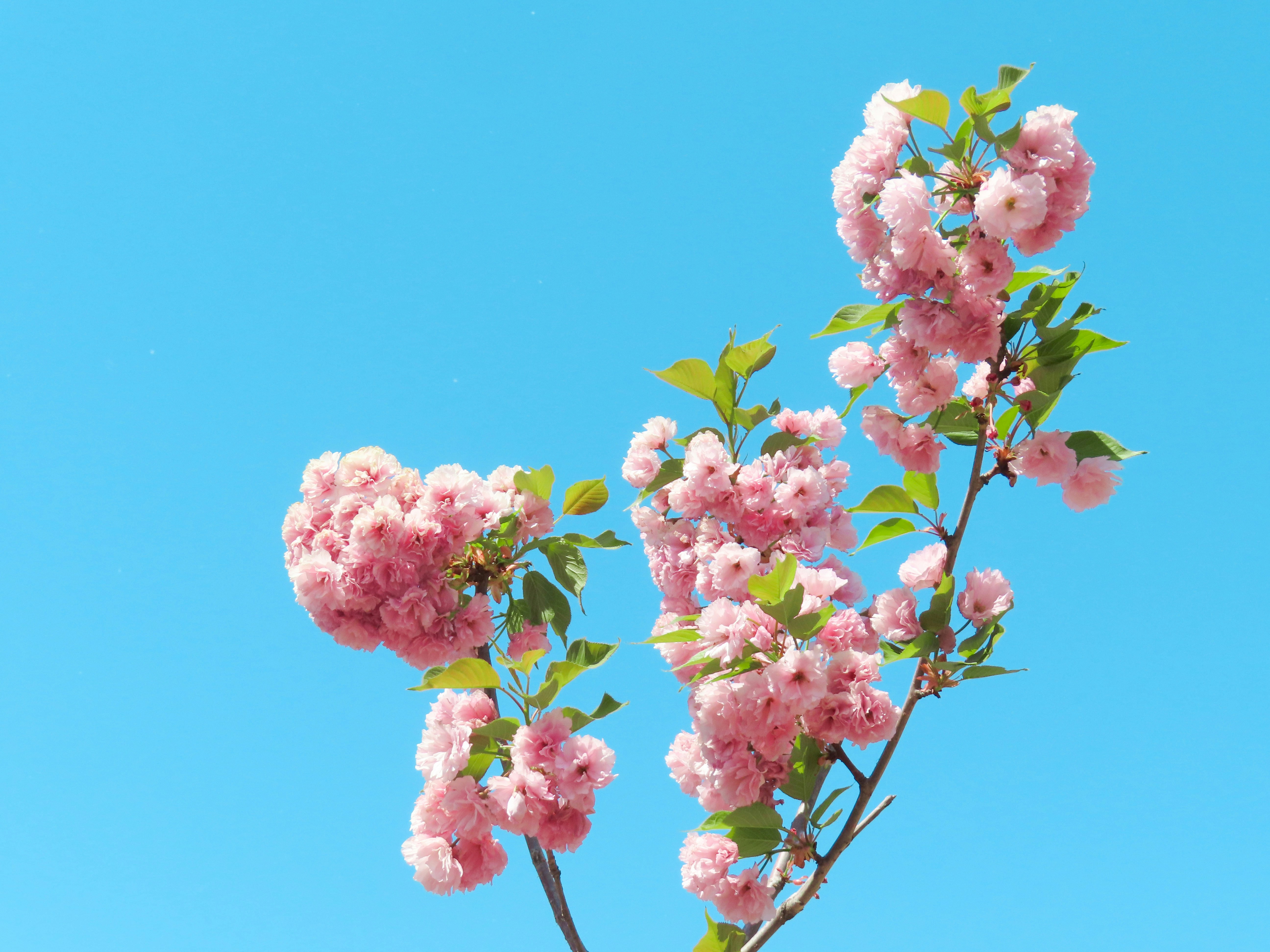 Photo by todayzcapture