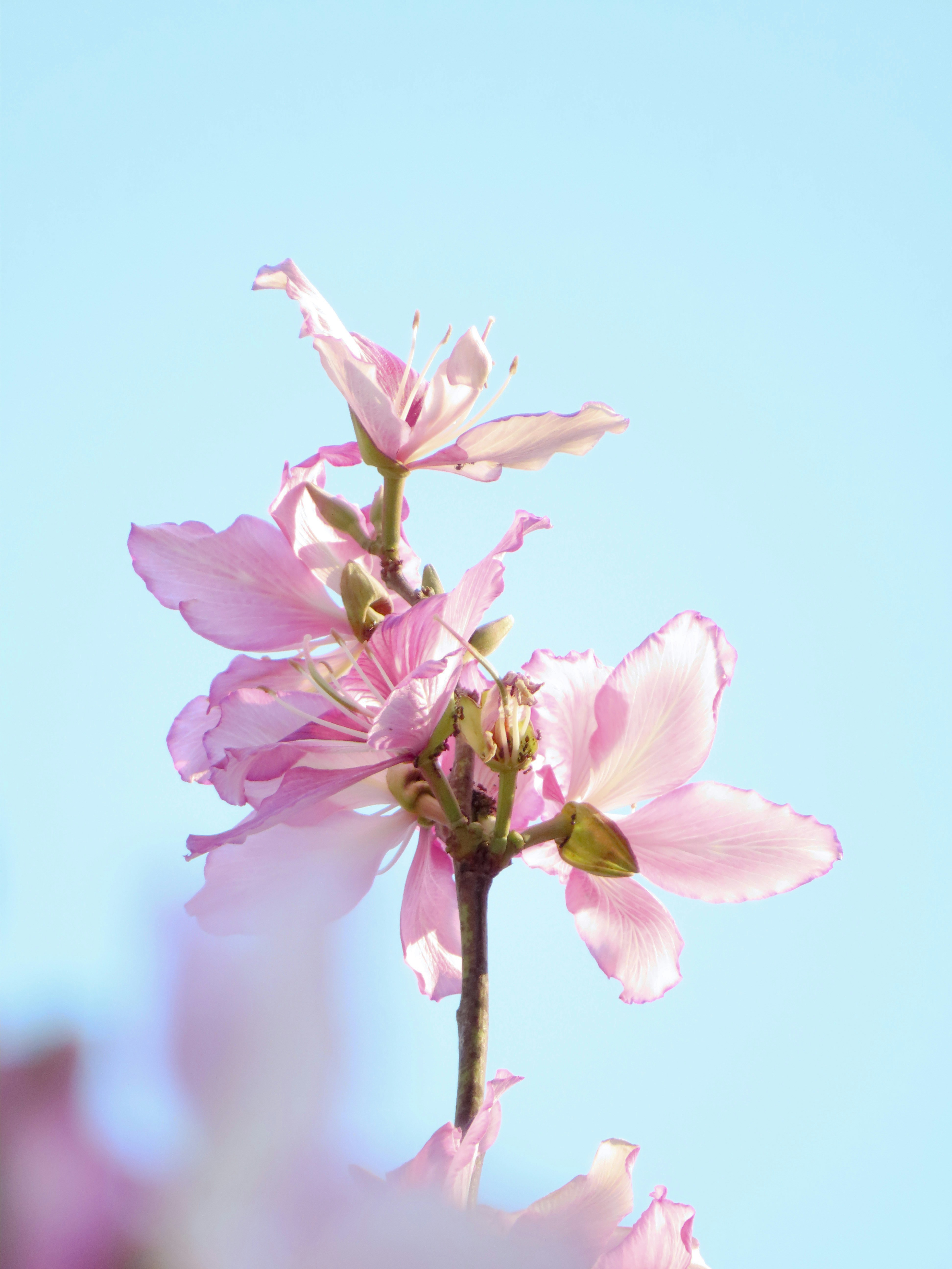 Photo by todayzcapture