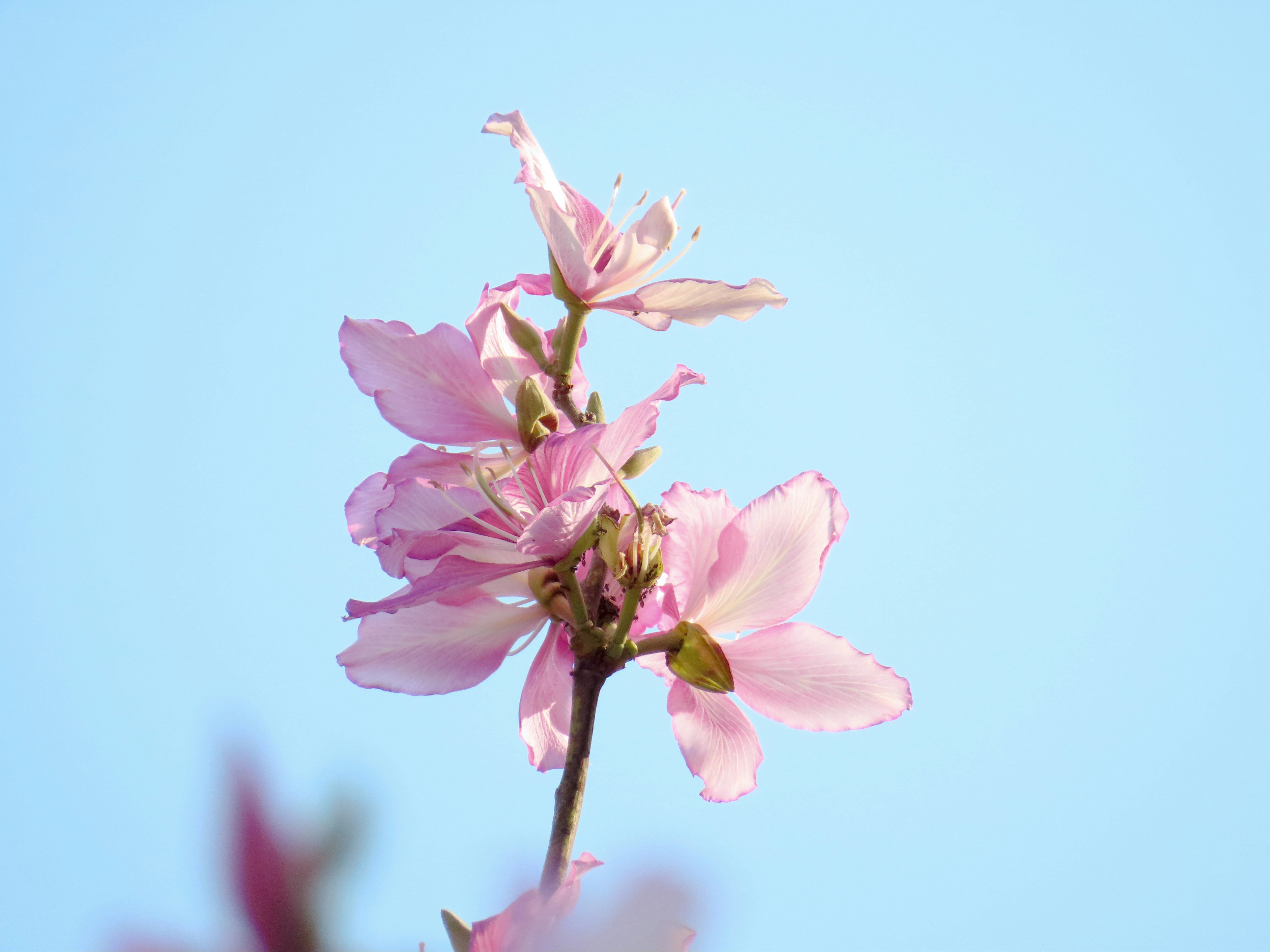 Photo by todayzcapture