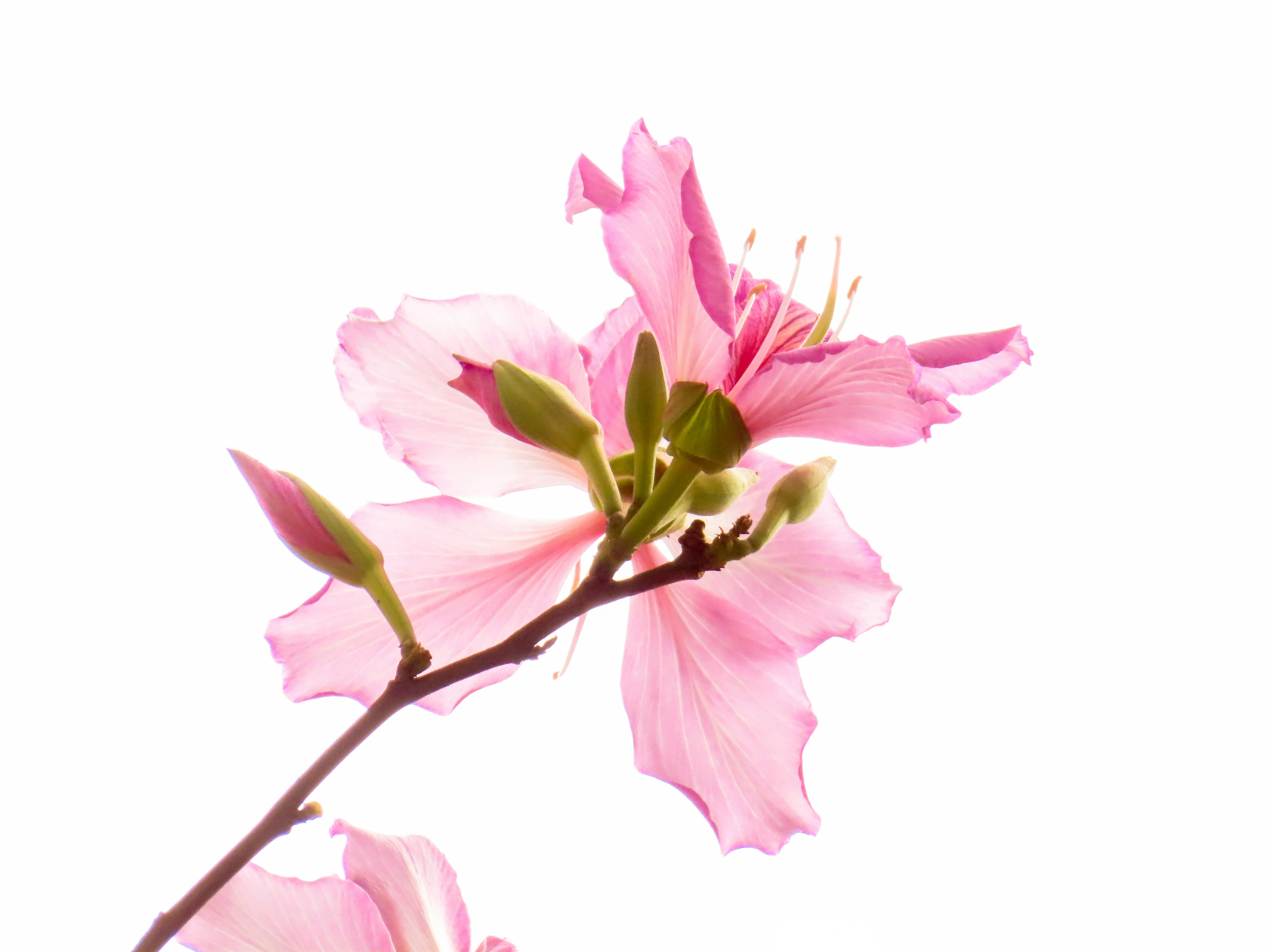 Photo by todayzcapture