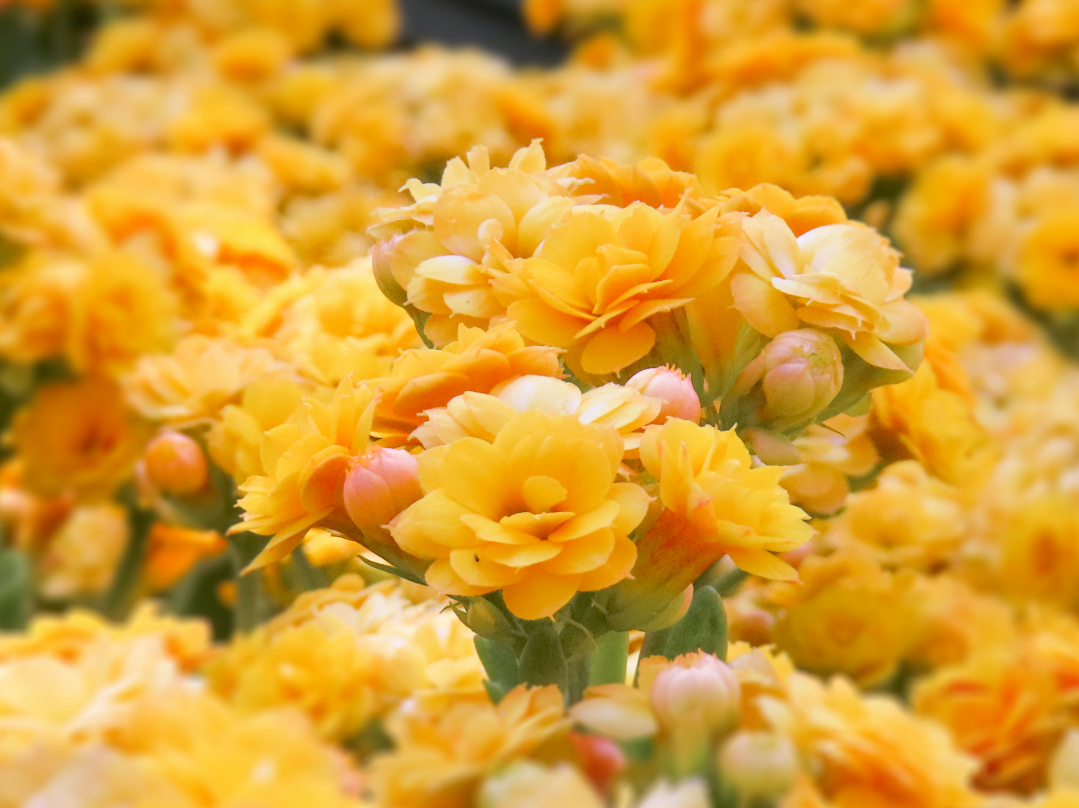 Photo by todayzcapture